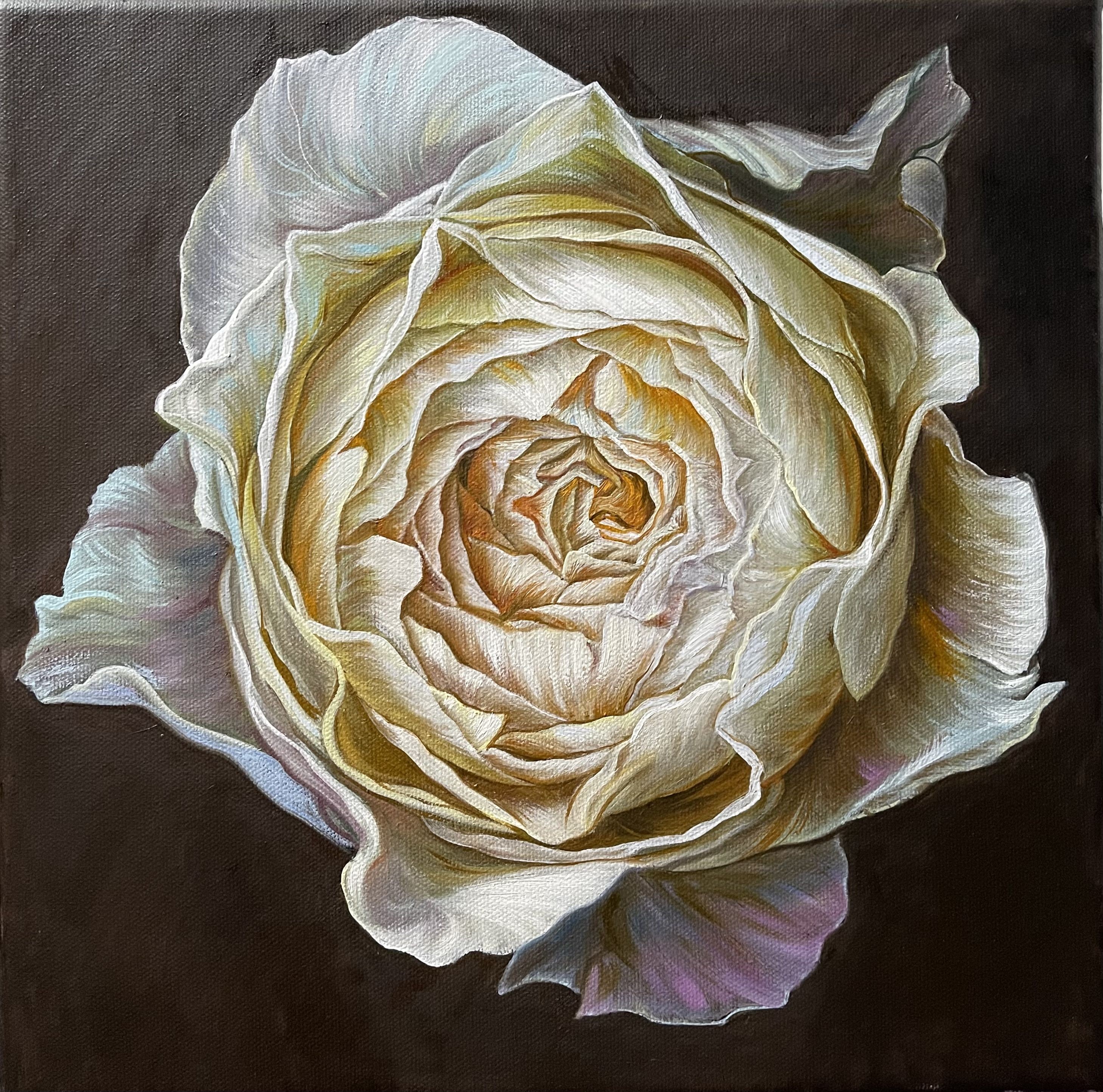 Elena Podmarkova, Cream rose on dark brown background Elena Podmarkova, Cream rose on dark brown background