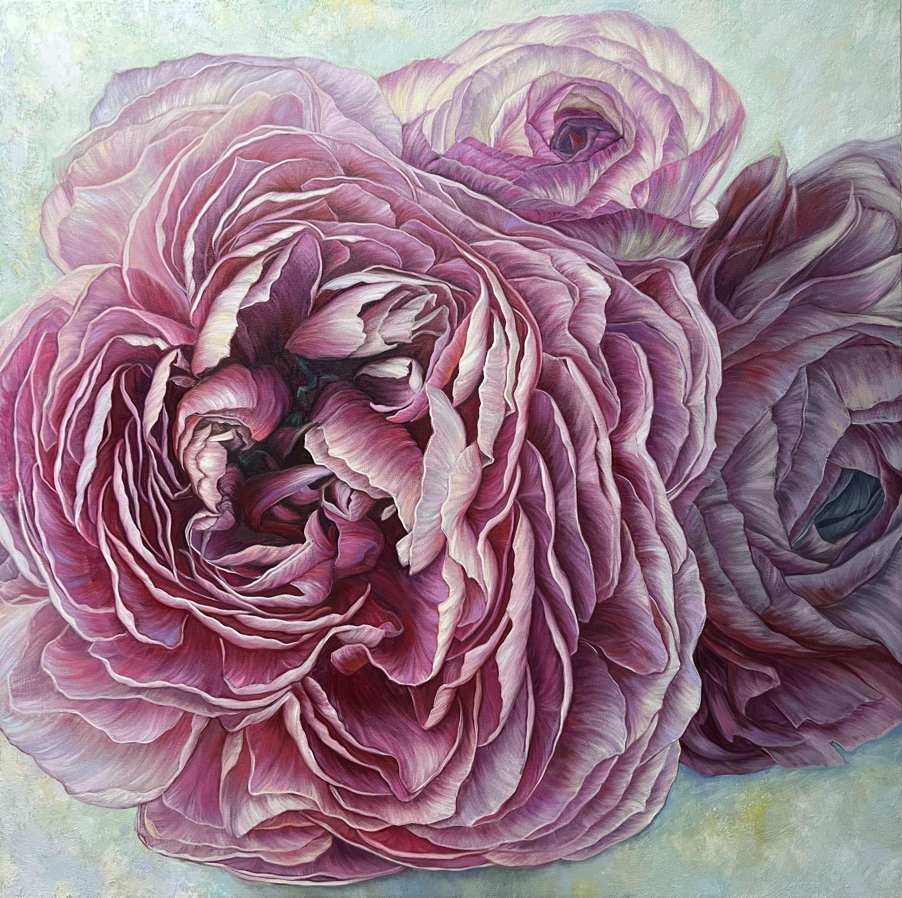 Elena Podmarkova, Ranunculus Elena Podmarkova, Ranunculus