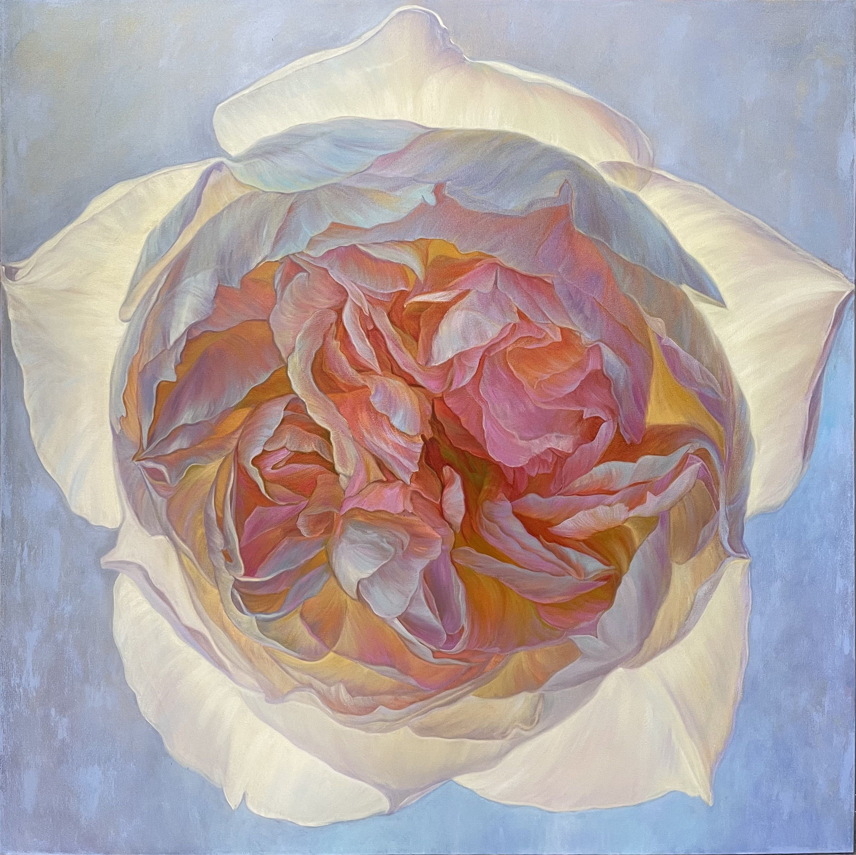 Elena Podmarkova, Peony dawn Elena Podmarkova, Peony dawn