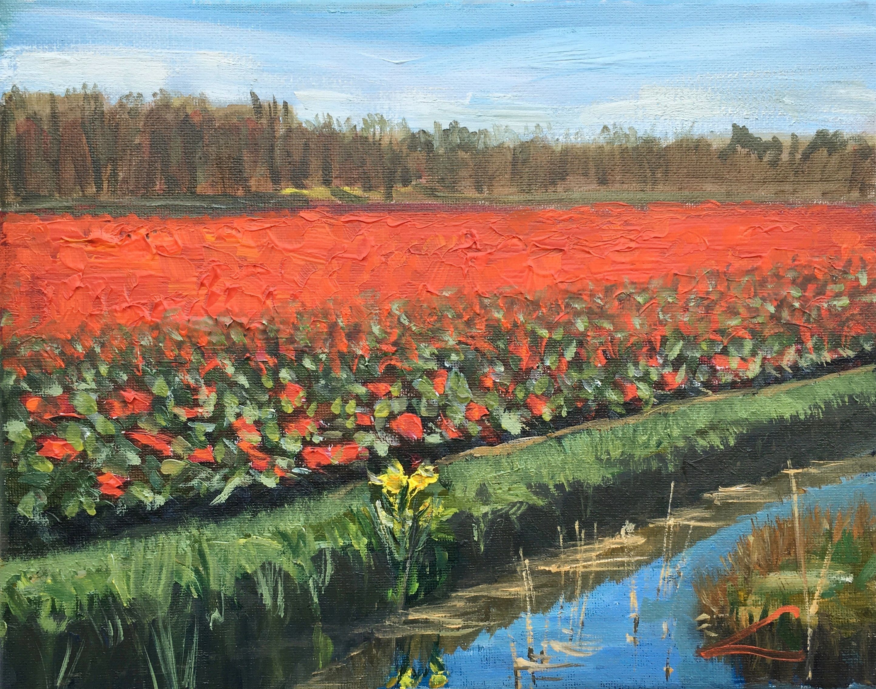 Elena Sokolova, Tulip fields Elena Sokolova, Tulip fields