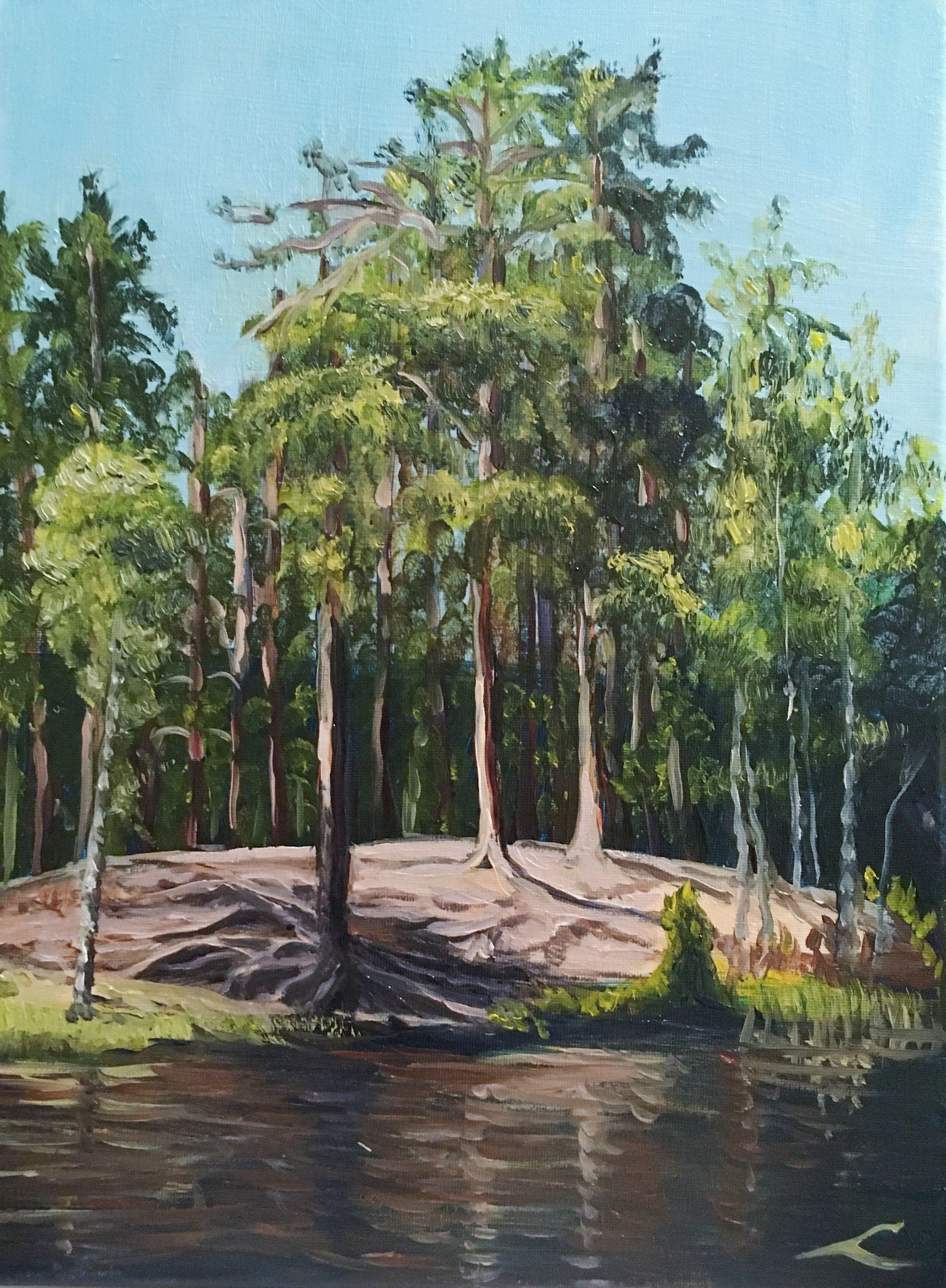 Elena Sokolova, Pastor's lake 5 Elena Sokolova, Pastor's lake 5