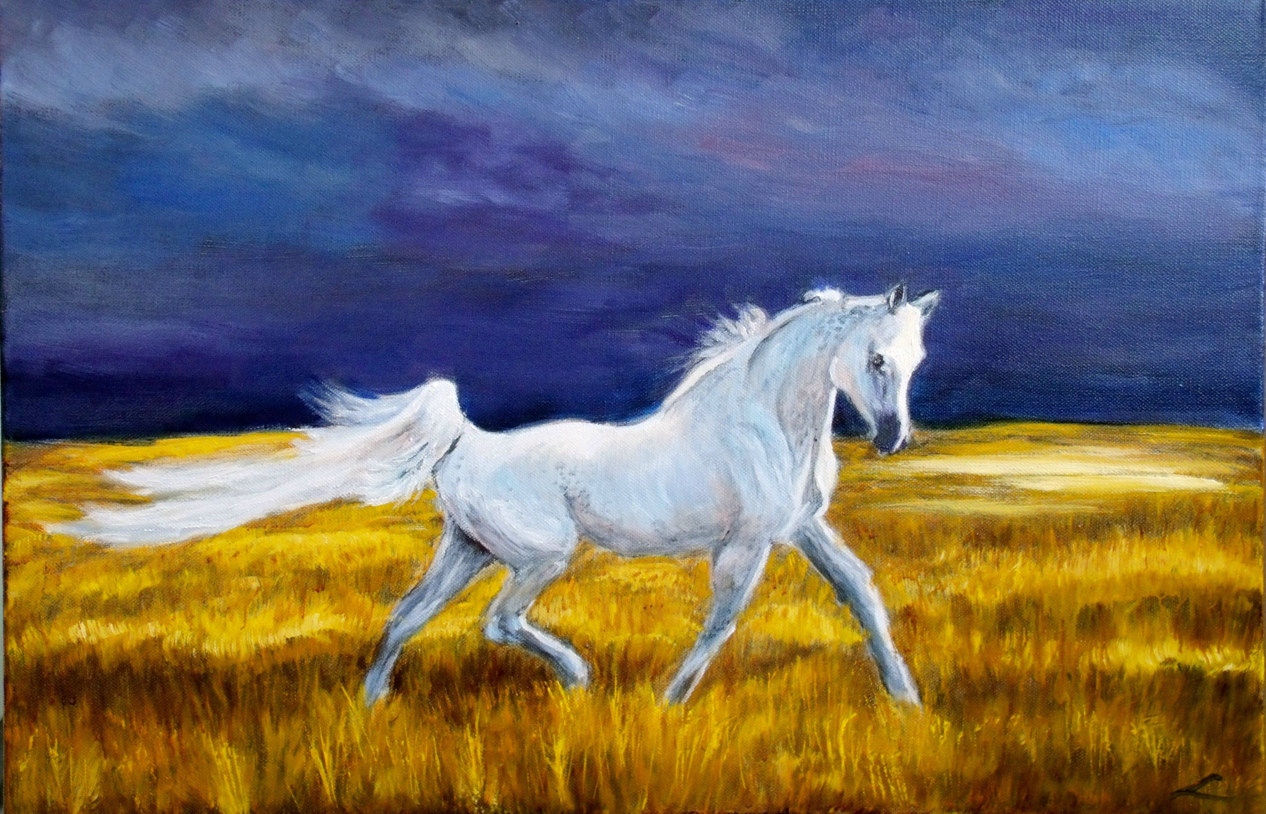Elena Sokolova, Patronus Elena Sokolova, Patronus