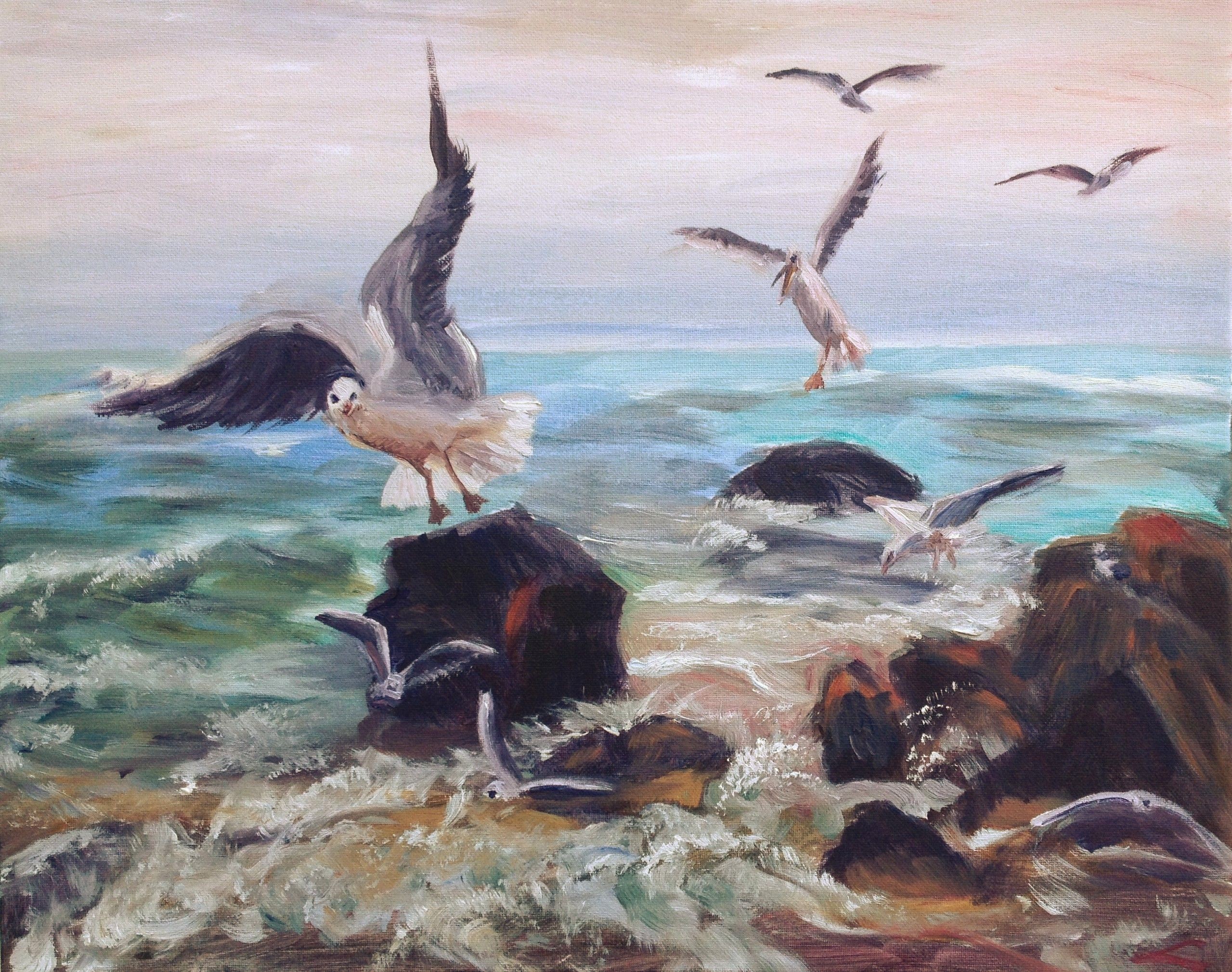 Elena Sokolova, Sea gulls Elena Sokolova, Sea gulls