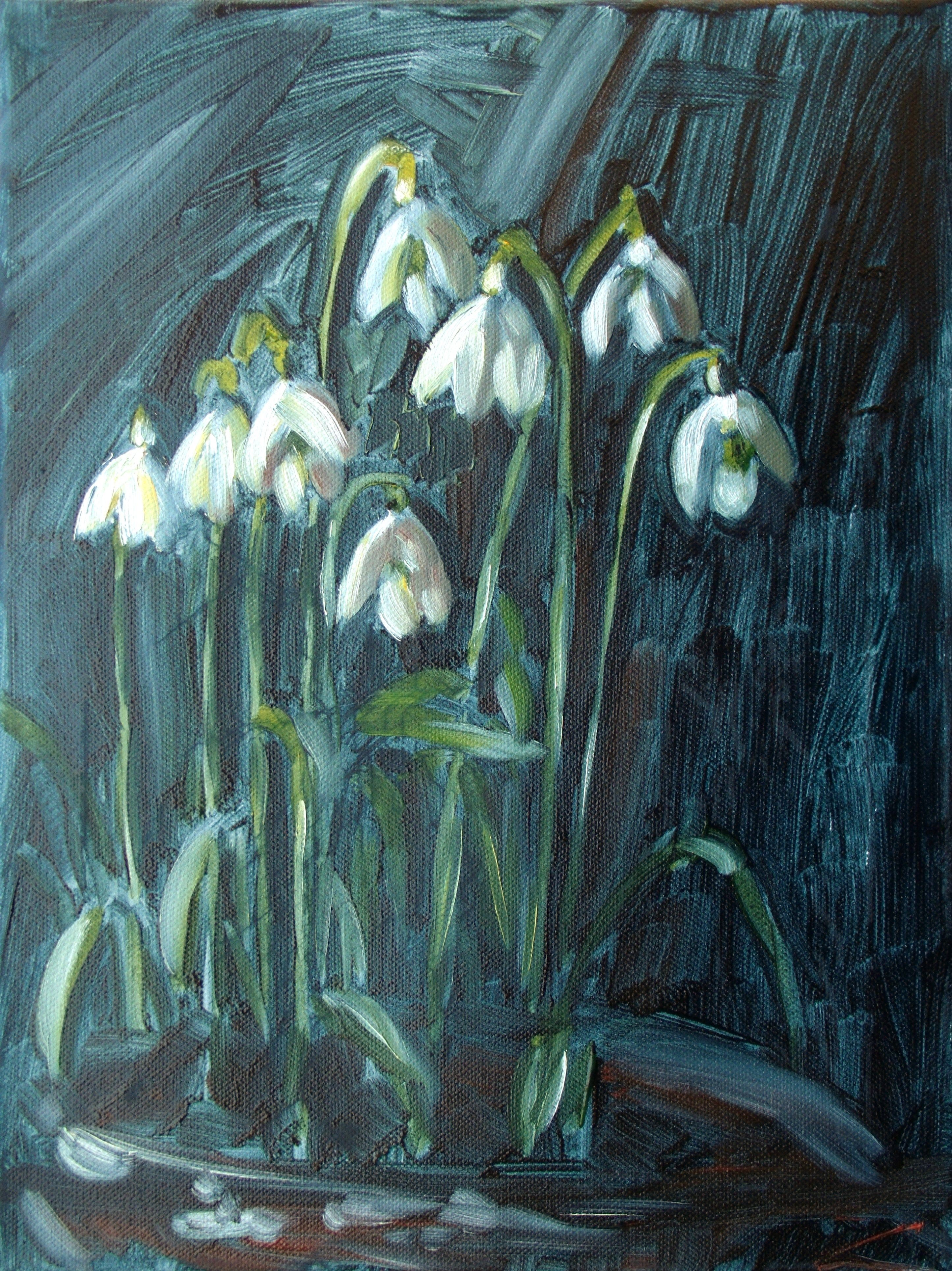 Elena Sokolova, Snowdrops Elena Sokolova, Snowdrops
