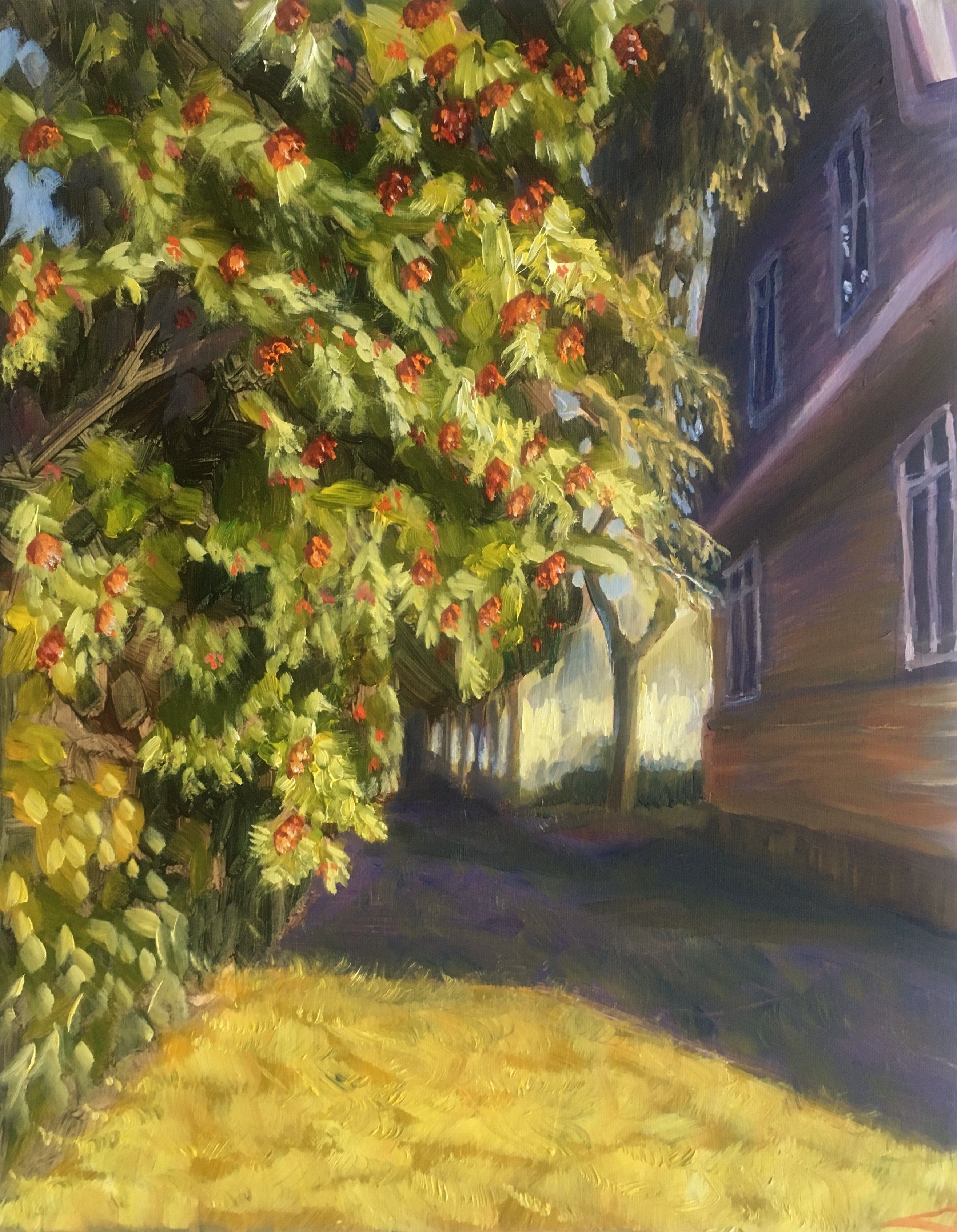 Elena Sokolova, Rowan-tree Elena Sokolova, Rowan-tree