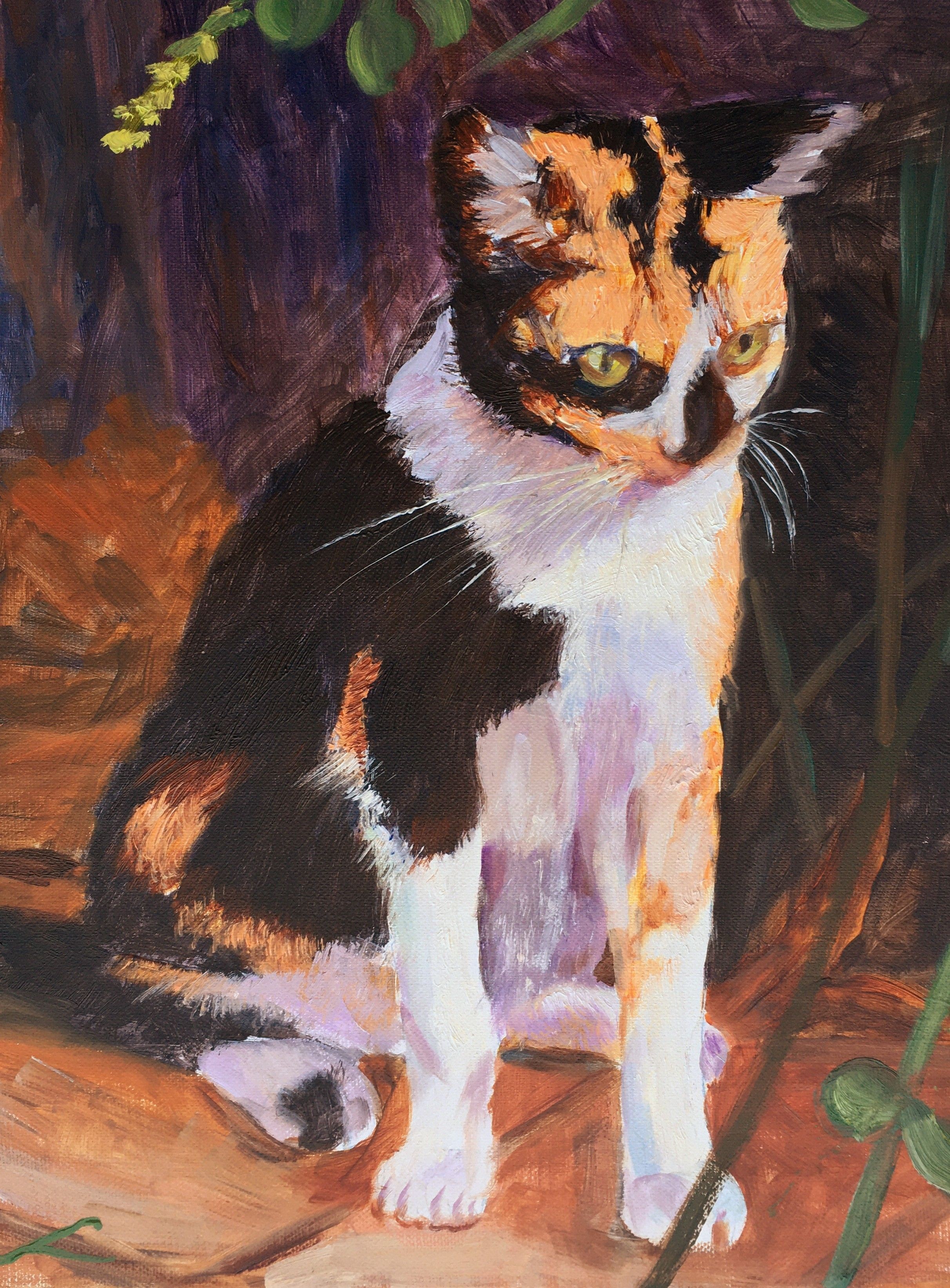 Elena Sokolova, Cat Elena Sokolova, Cat