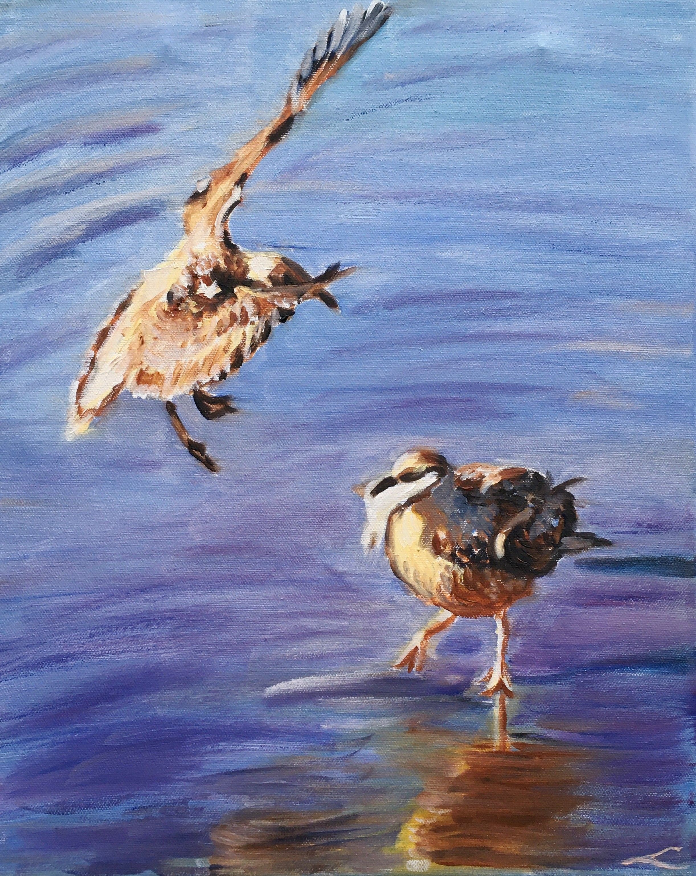 Elena Sokolova, Sea gulls Elena Sokolova, Sea gulls