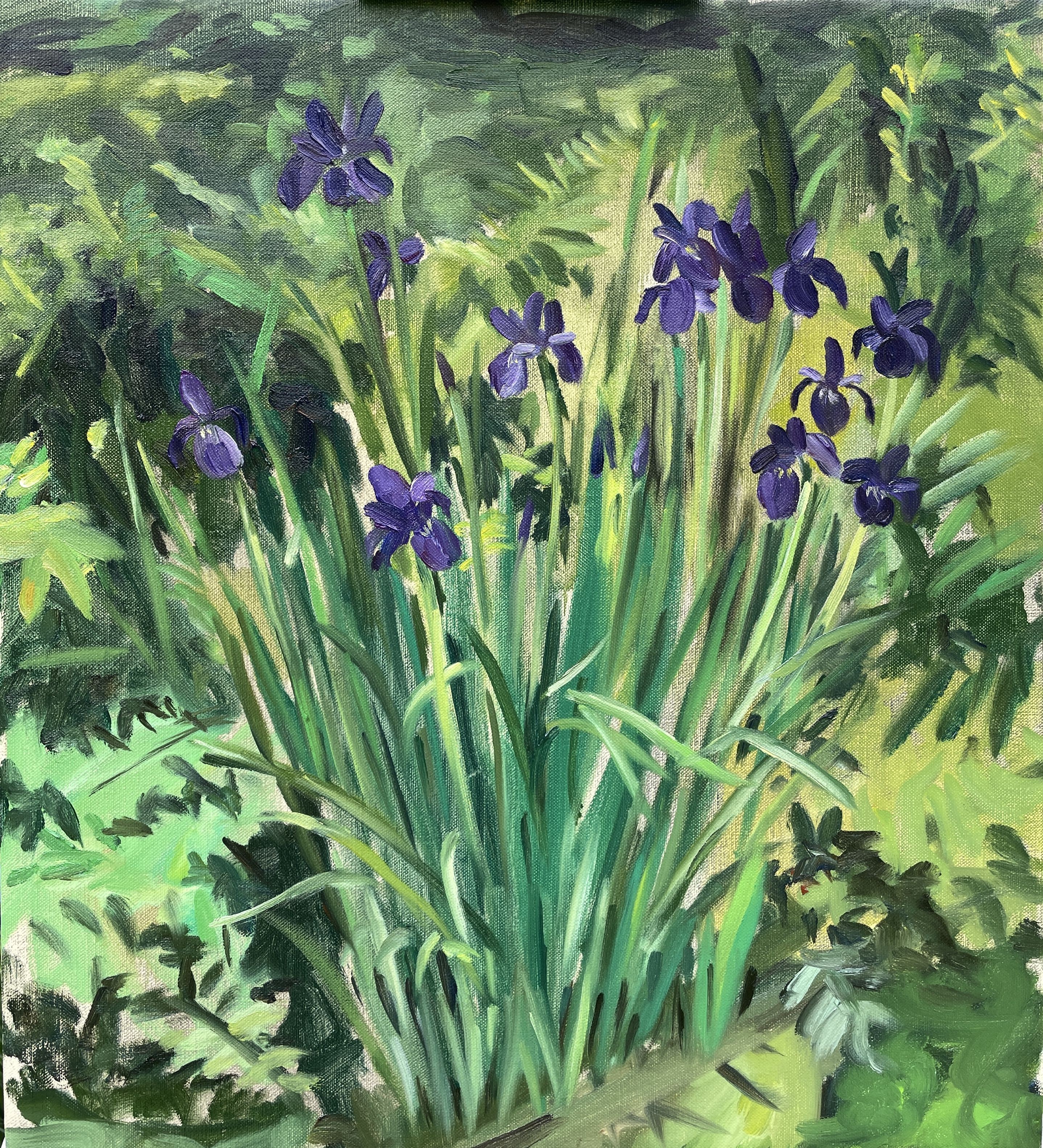 Eric Santoli, Irises Eric Santoli, Irises