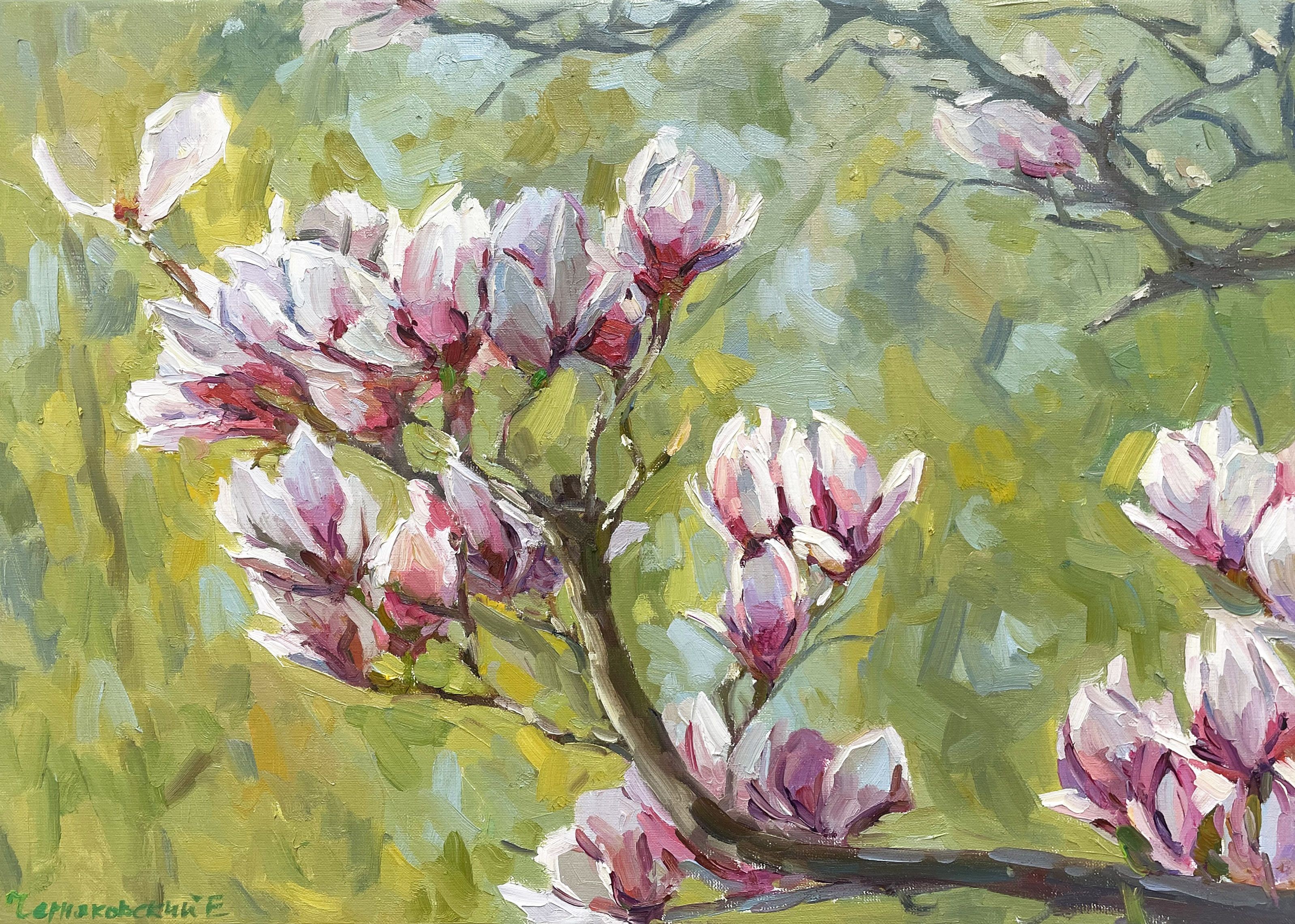 Evgeny Chernyakovsky, Magnolia branch Evgeny Chernyakovsky, Magnolia branch