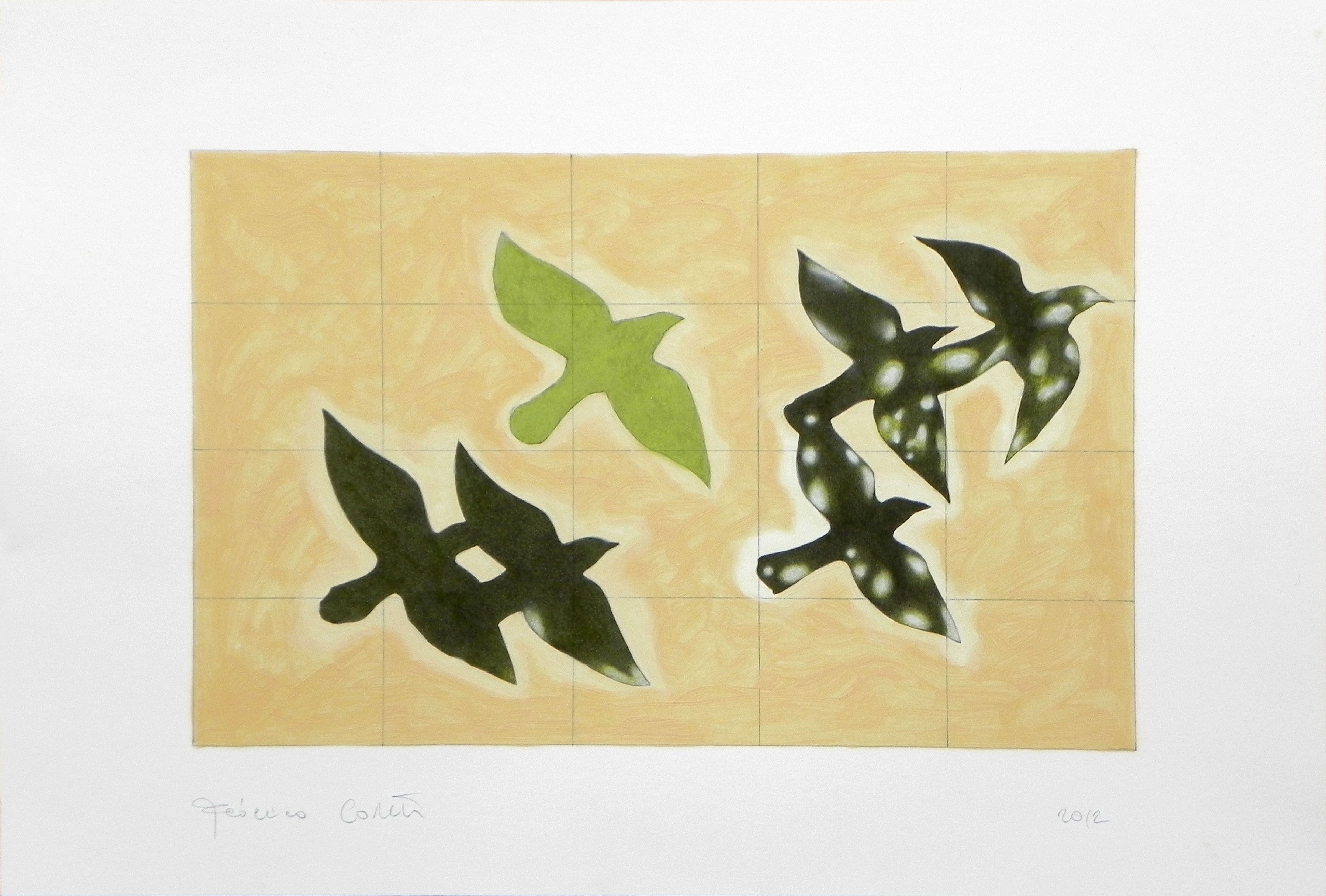 Federico Cortese, Pigeons Federico Cortese, Pigeons