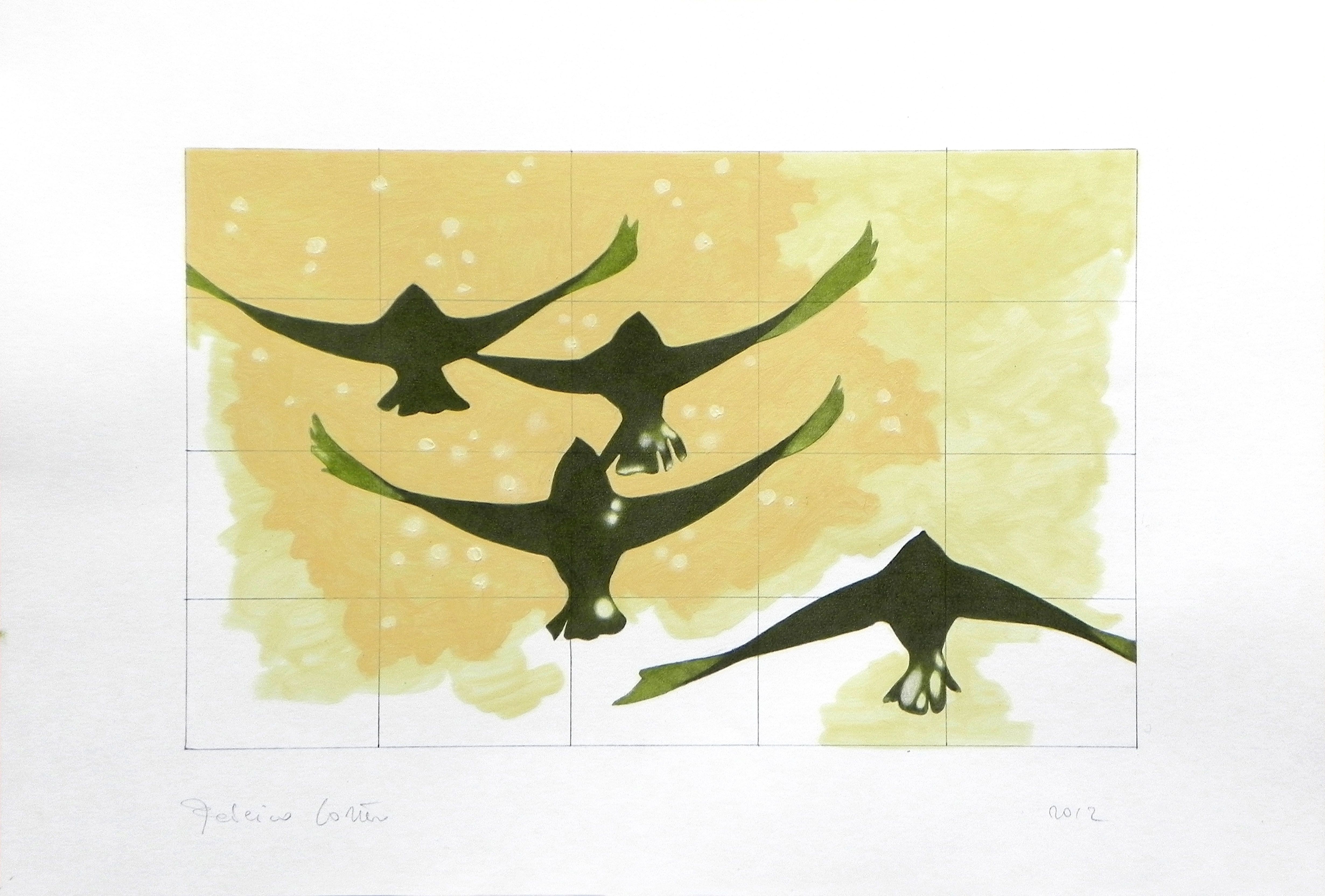 Federico Cortese, Swallows Federico Cortese, Swallows