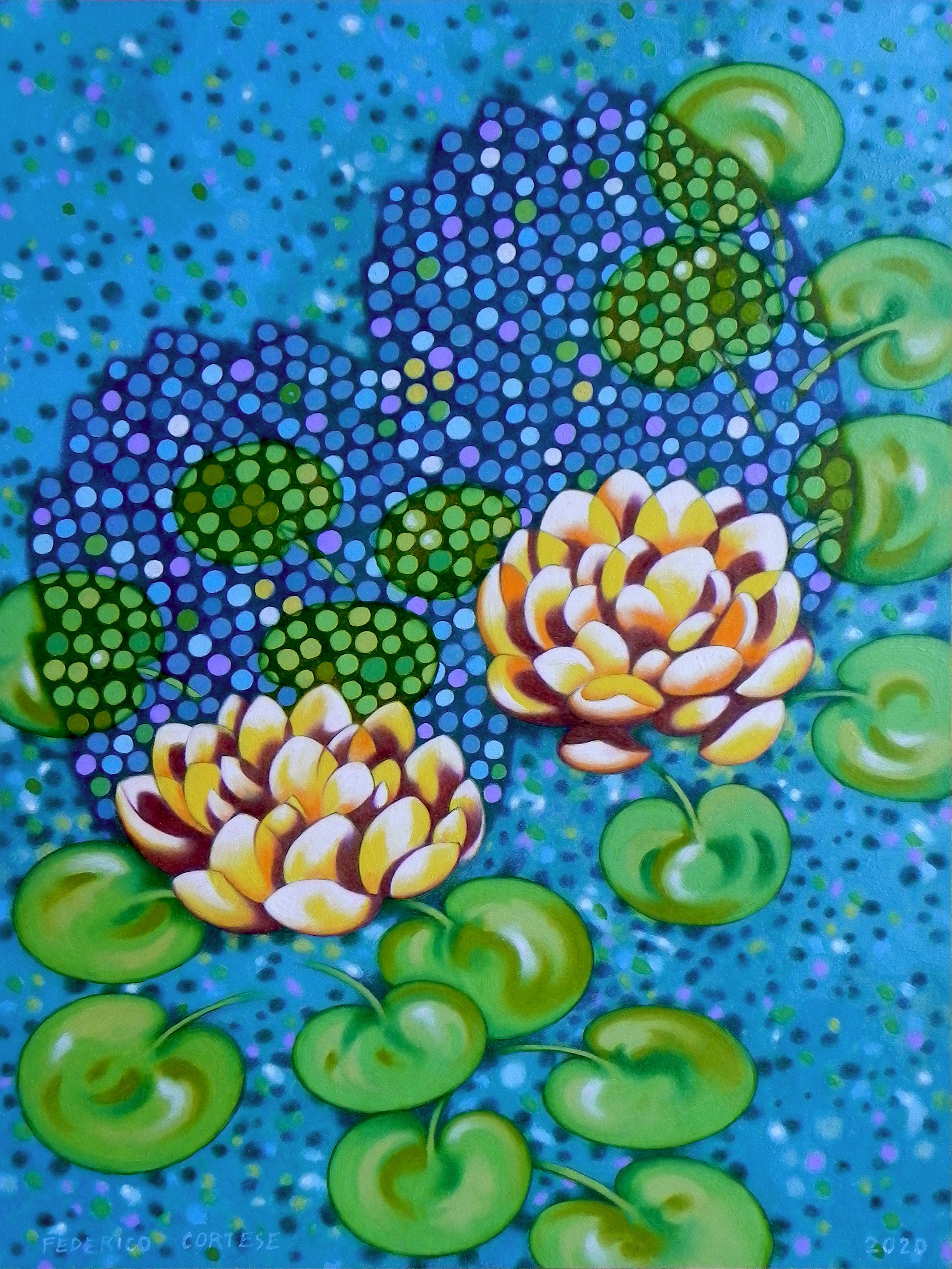 Federico Cortese, Water lilies Federico Cortese, Water lilies