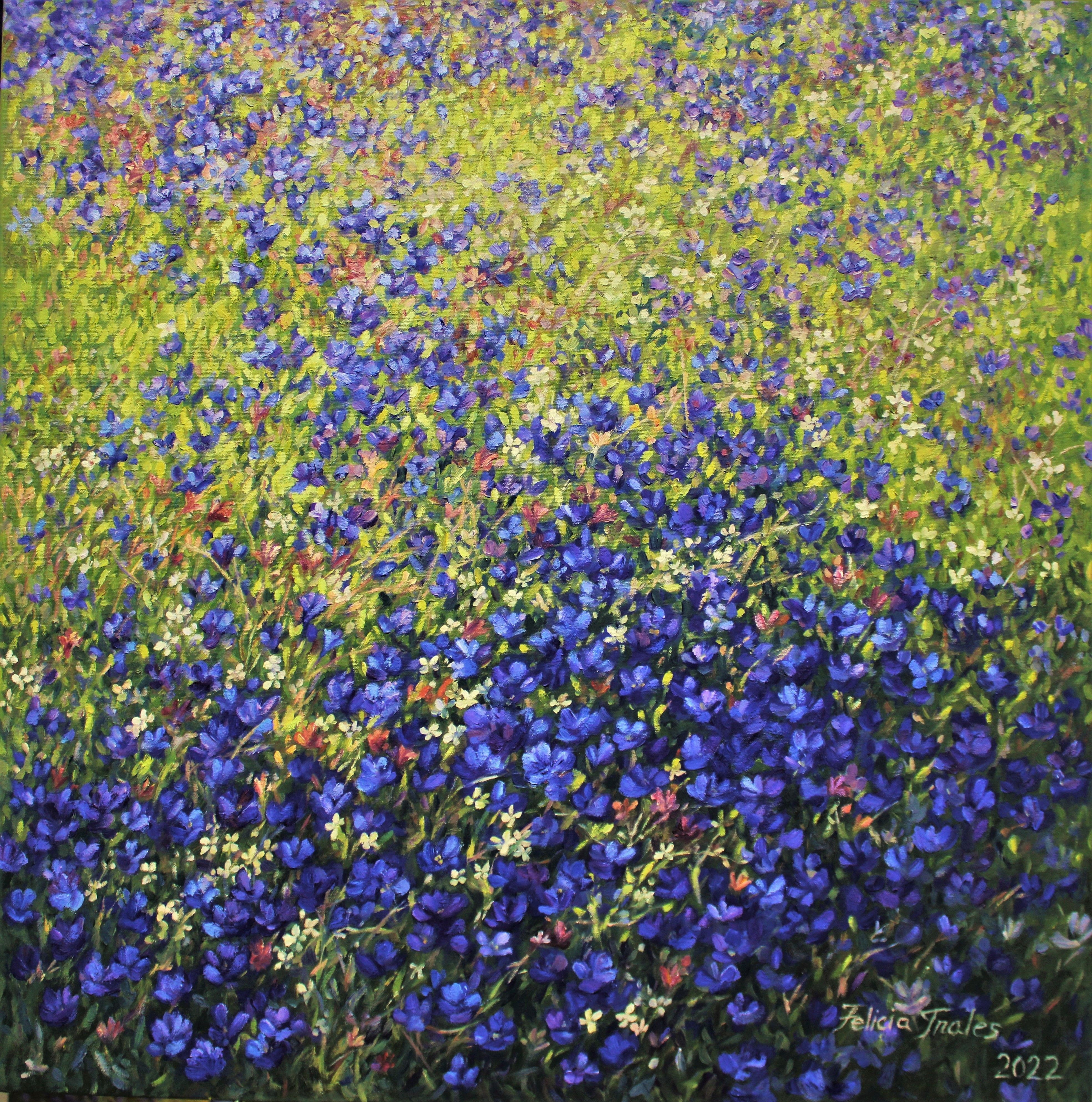 Felicia Trales, Blue flowers Felicia Trales, Blue flowers