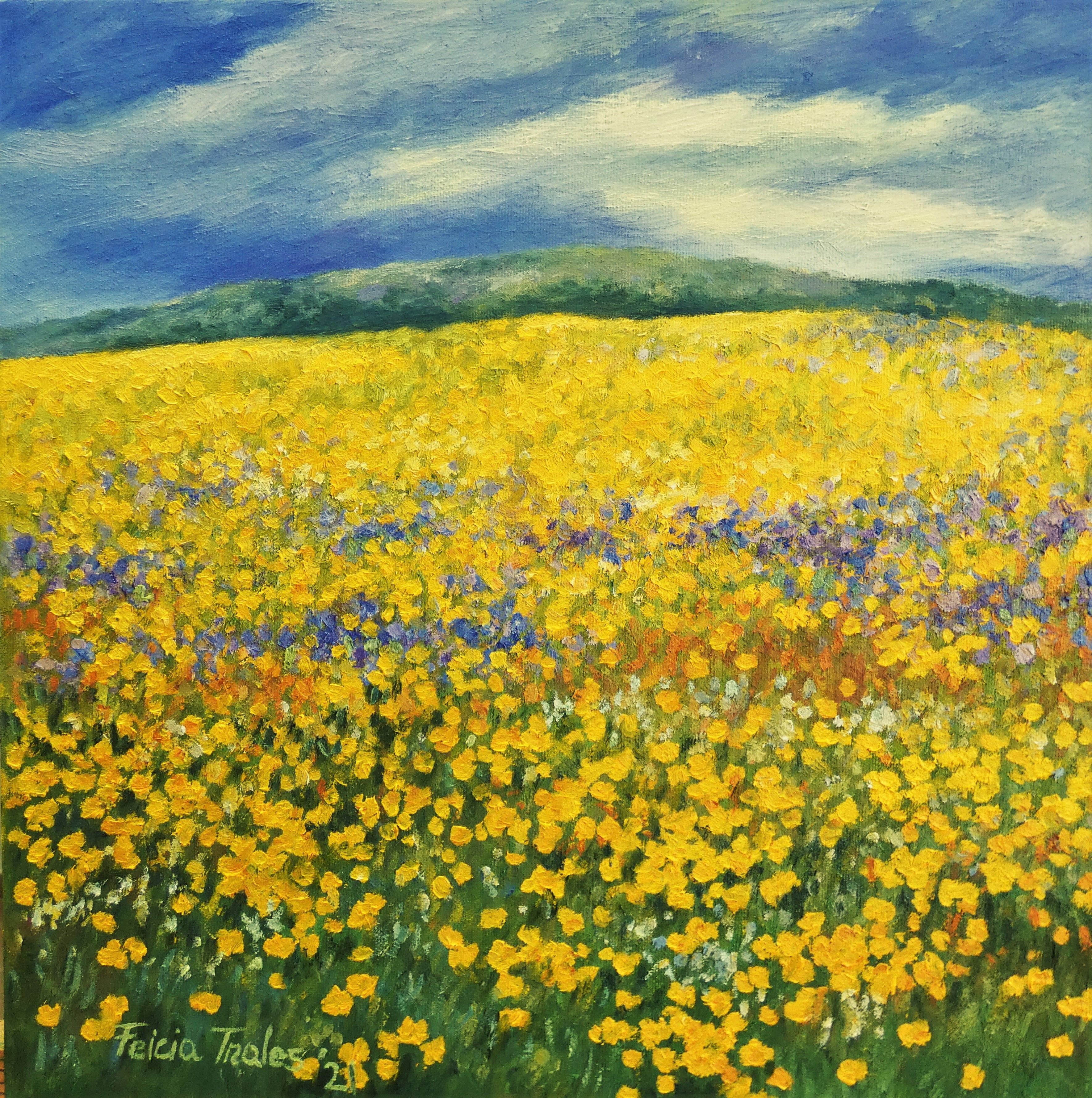 Felicia Trales, Flowery field Felicia Trales, Flowery field