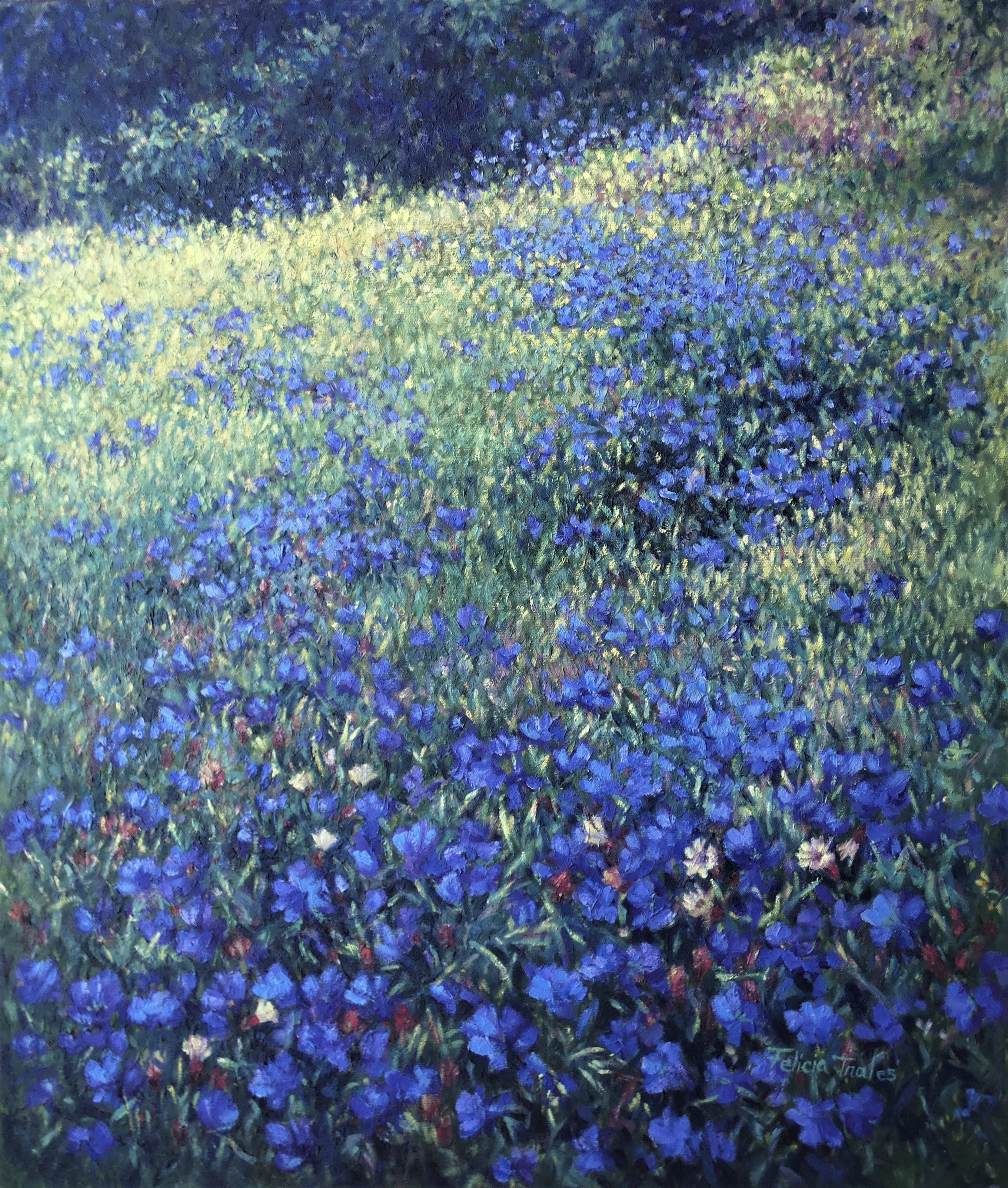 Felicia Trales, Blue hill Felicia Trales, Blue hill