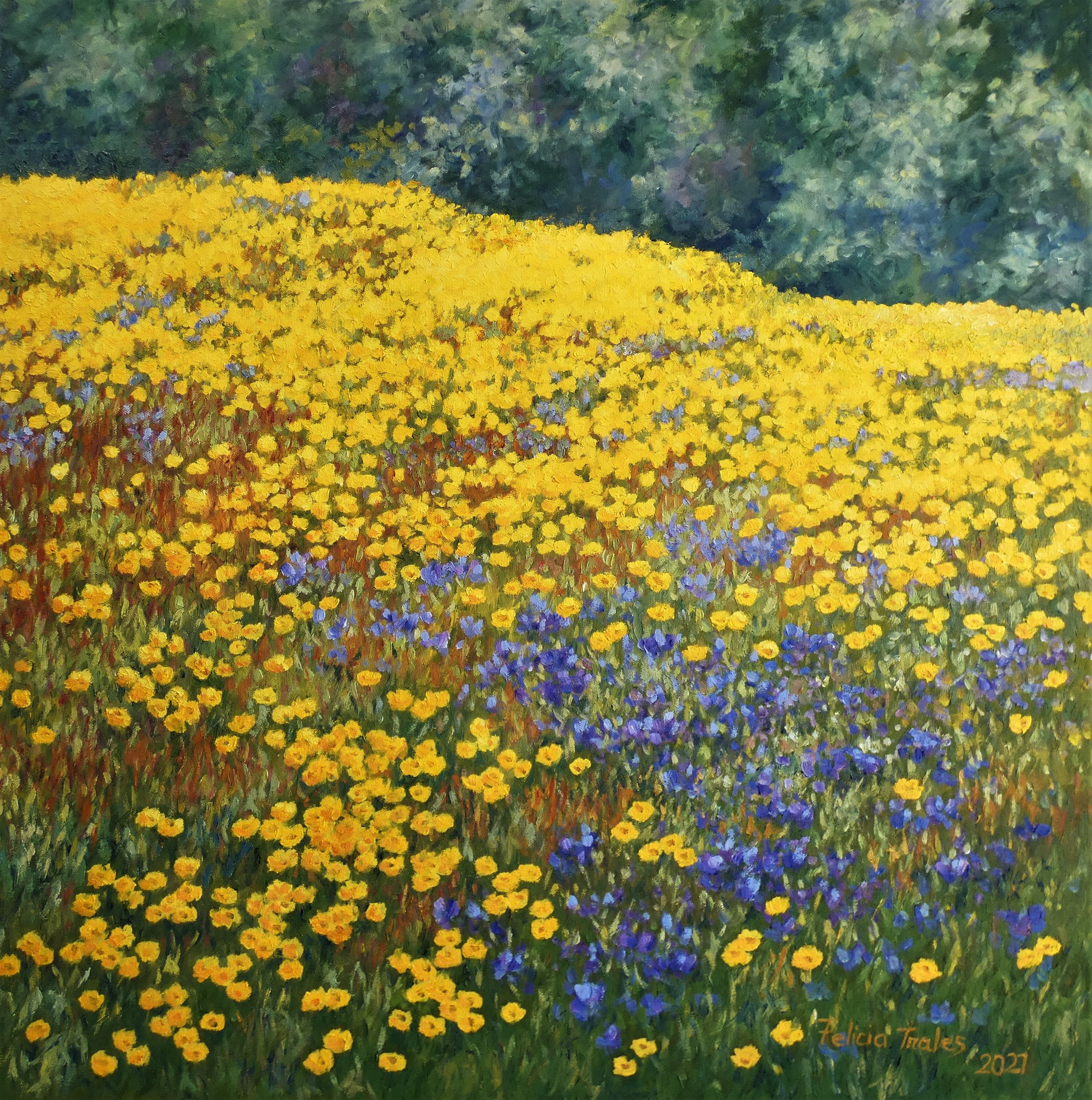 Felicia Trales, Yellow flowered field Felicia Trales, Yellow flowered field