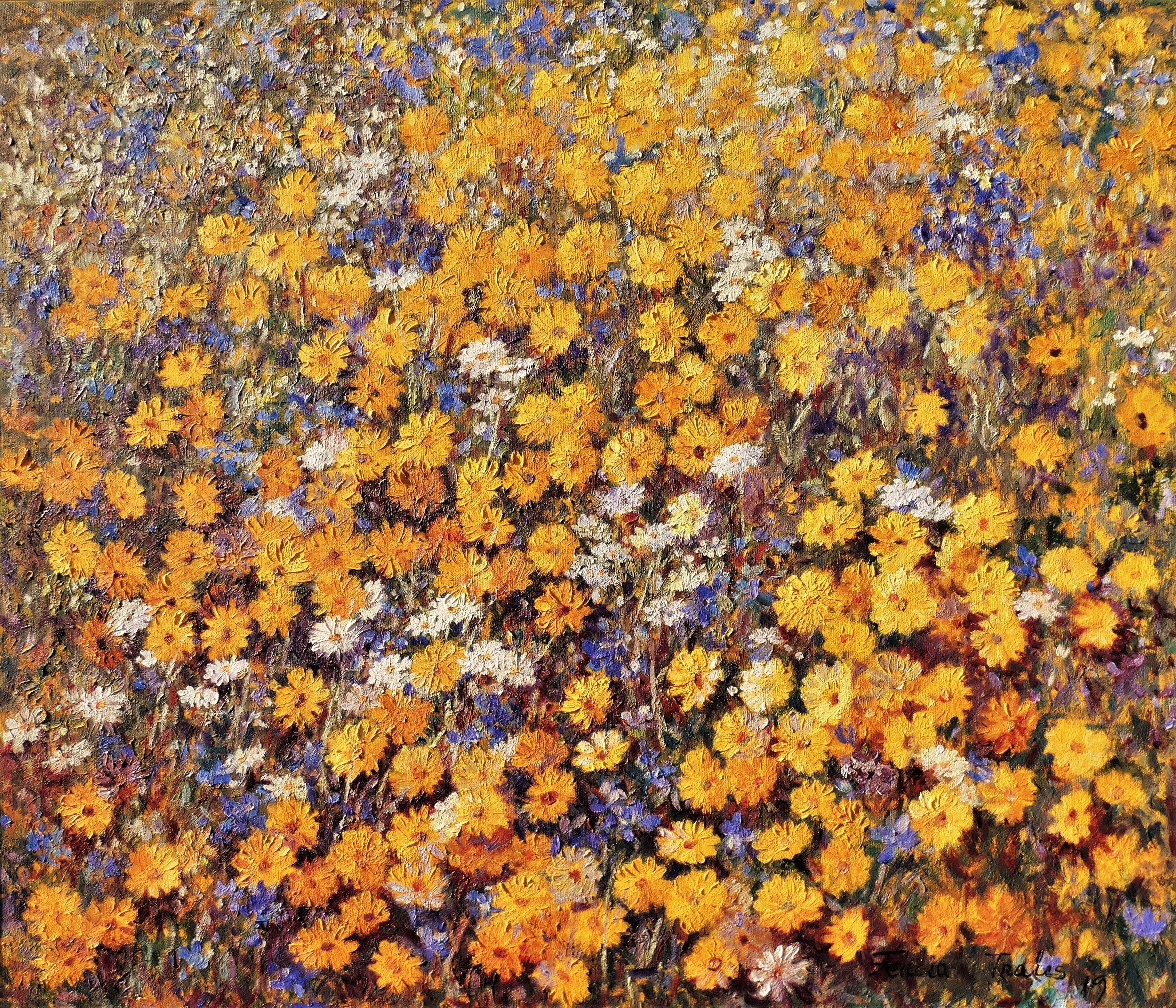 Felicia Trales, Marigolds flowers Felicia Trales, Marigolds flowers