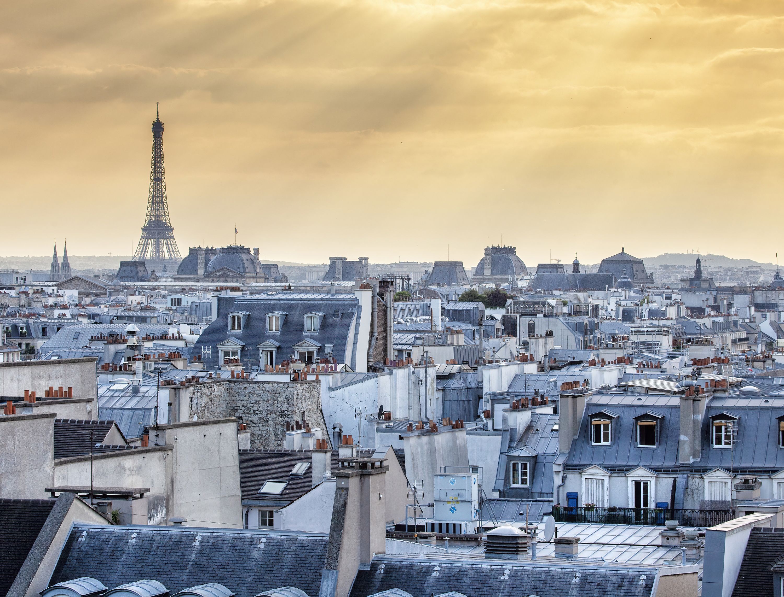 Fikry Botros, Parisian rooftops Fikry Botros, Parisian rooftops