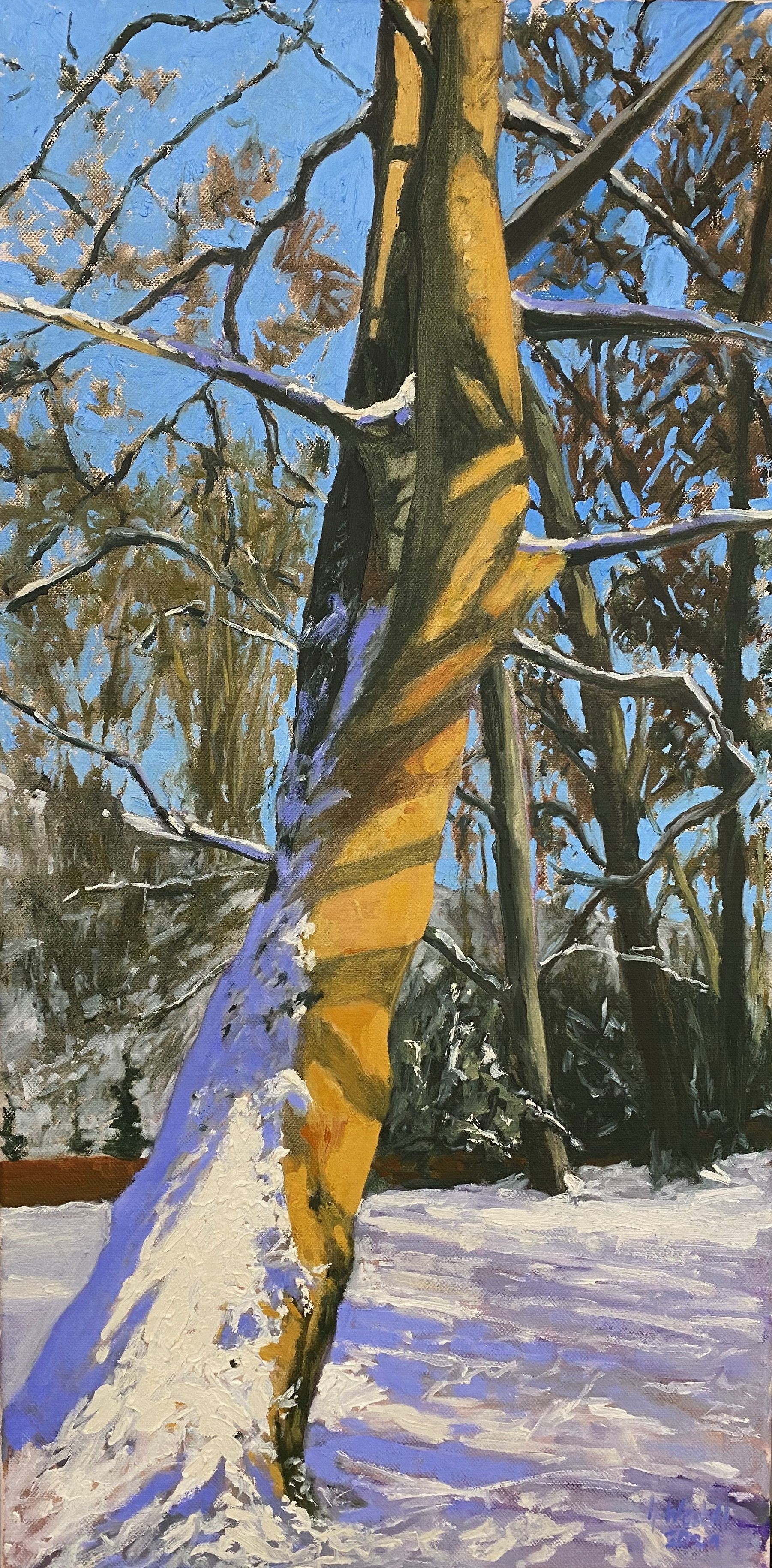 Gary Westall, Winter walk Gary Westall, Winter walk