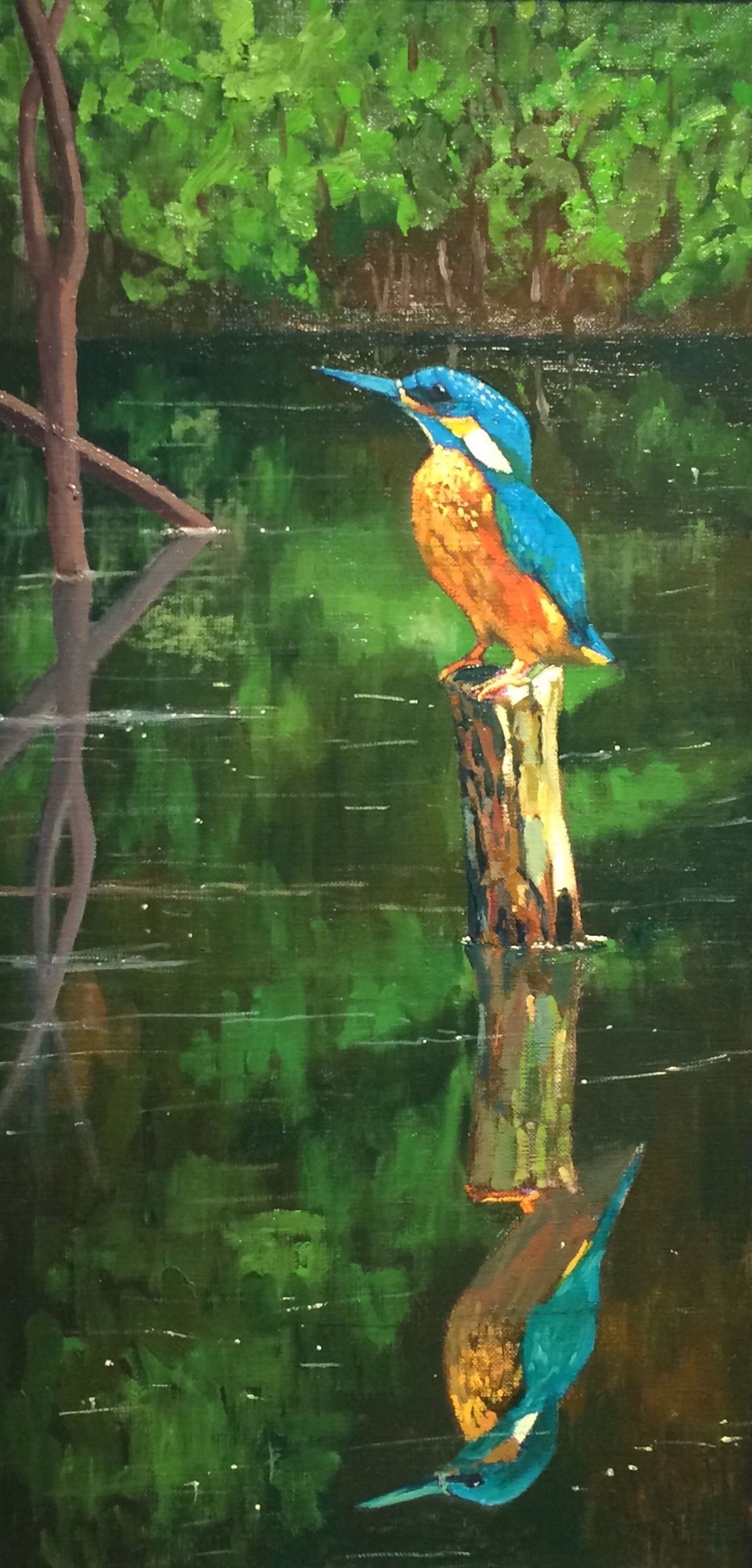 Gary Westall, Kingfisher Gary Westall, Kingfisher