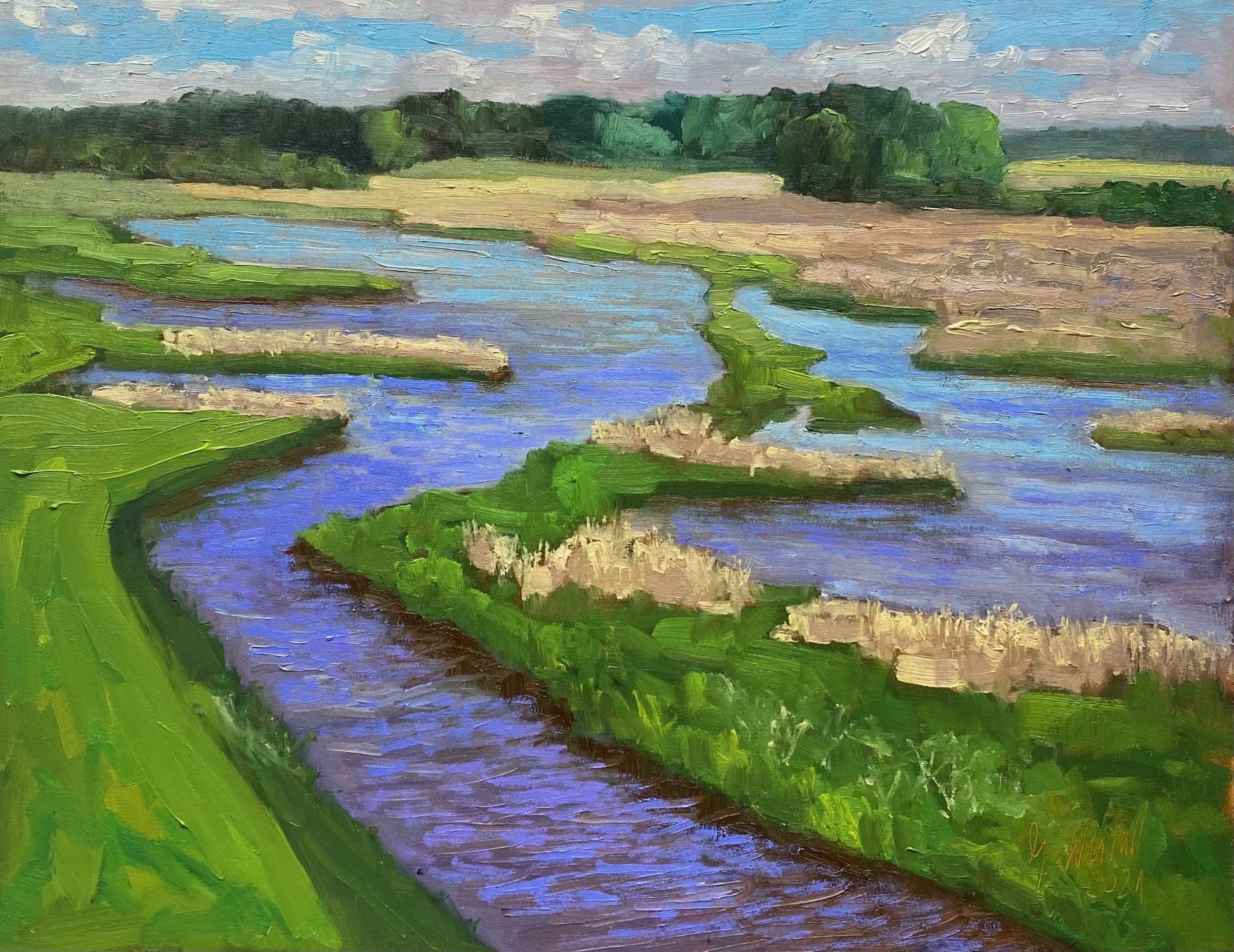 Gary Westall, Wetland Pyska, Poland Gary Westall, Wetland Pyska, Poland