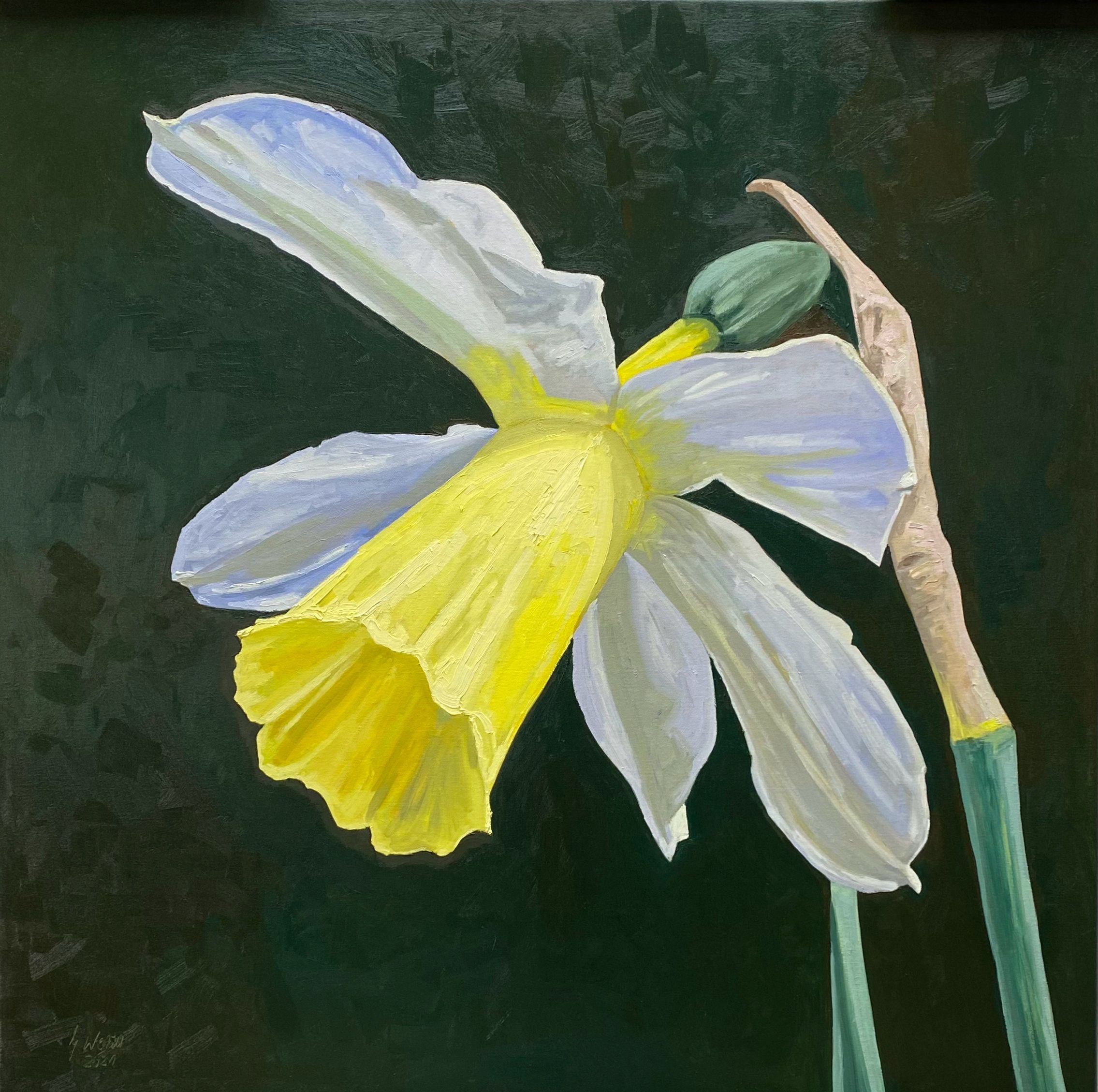 Gary Westall, Daffodil No. 7 Gary Westall, Daffodil No. 7