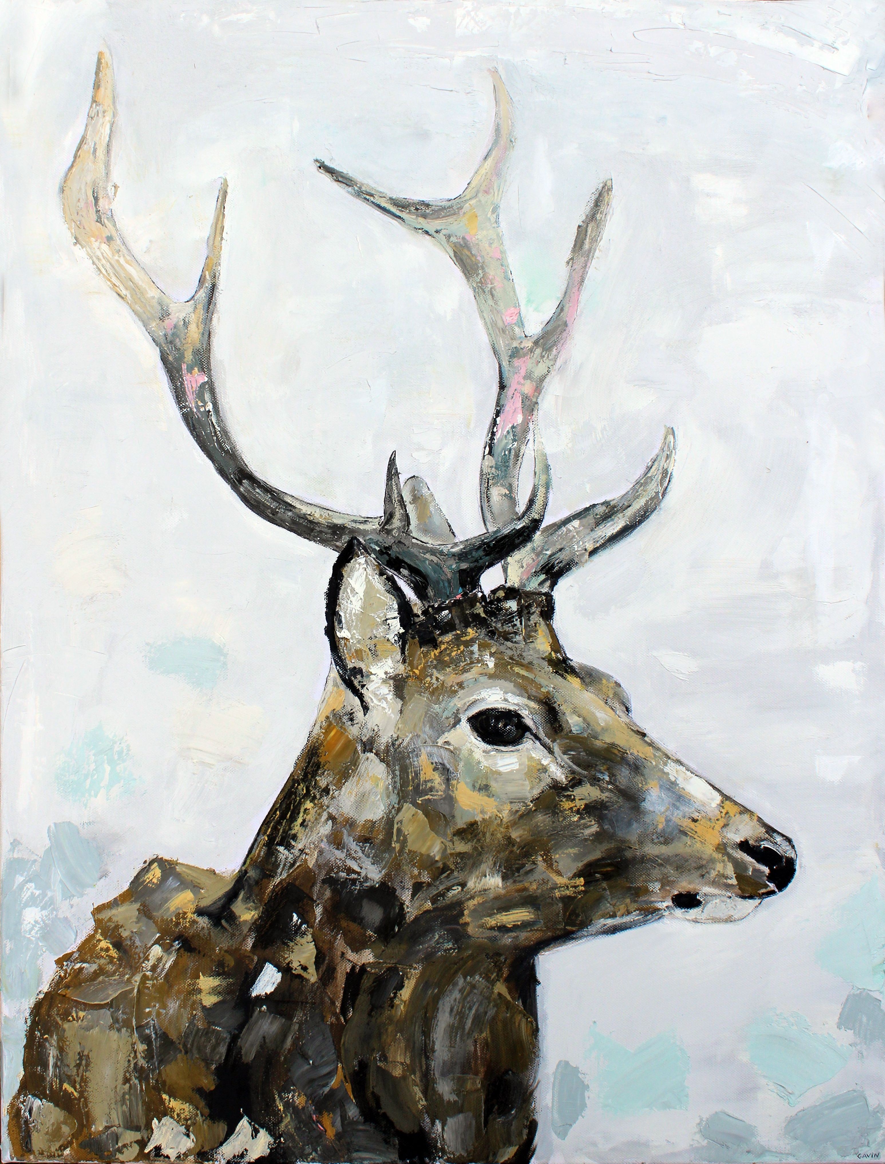 Gavin O'Donoghue, Irish Stag Gavin O'Donoghue, Irish Stag