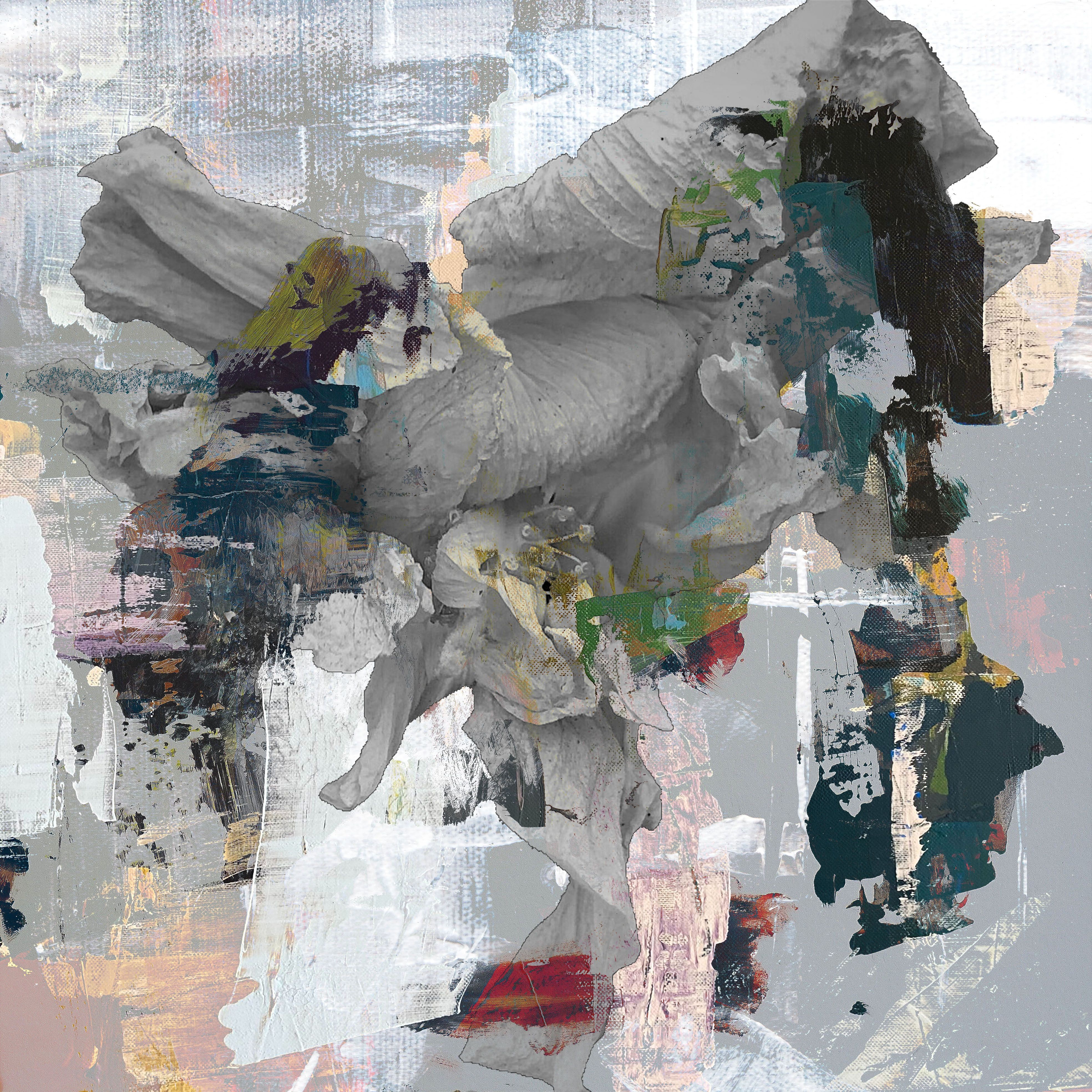Geert Lemmers, Liberation of the mind29 Geert Lemmers, Liberation of the mind29