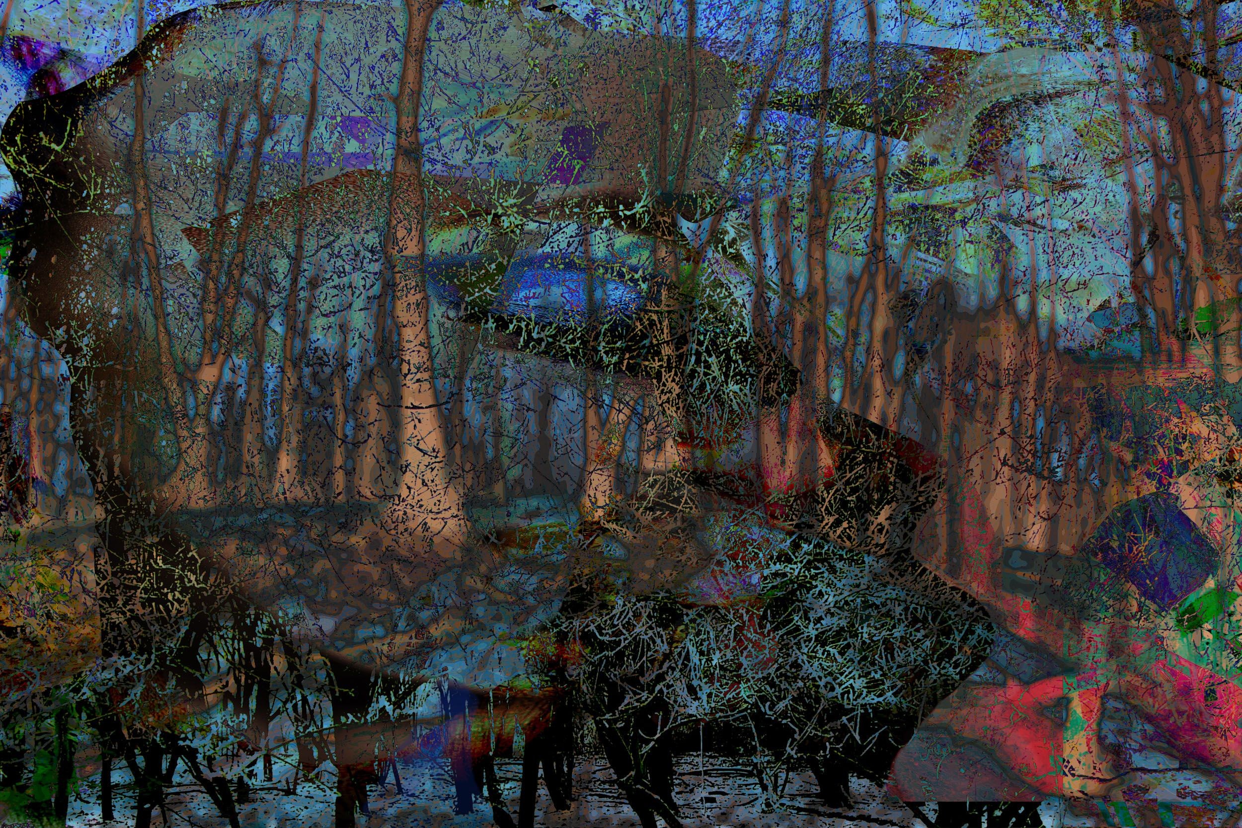Geert Lemmers, Dreamland forrest opus 1 Geert Lemmers, Dreamland forrest opus 1
