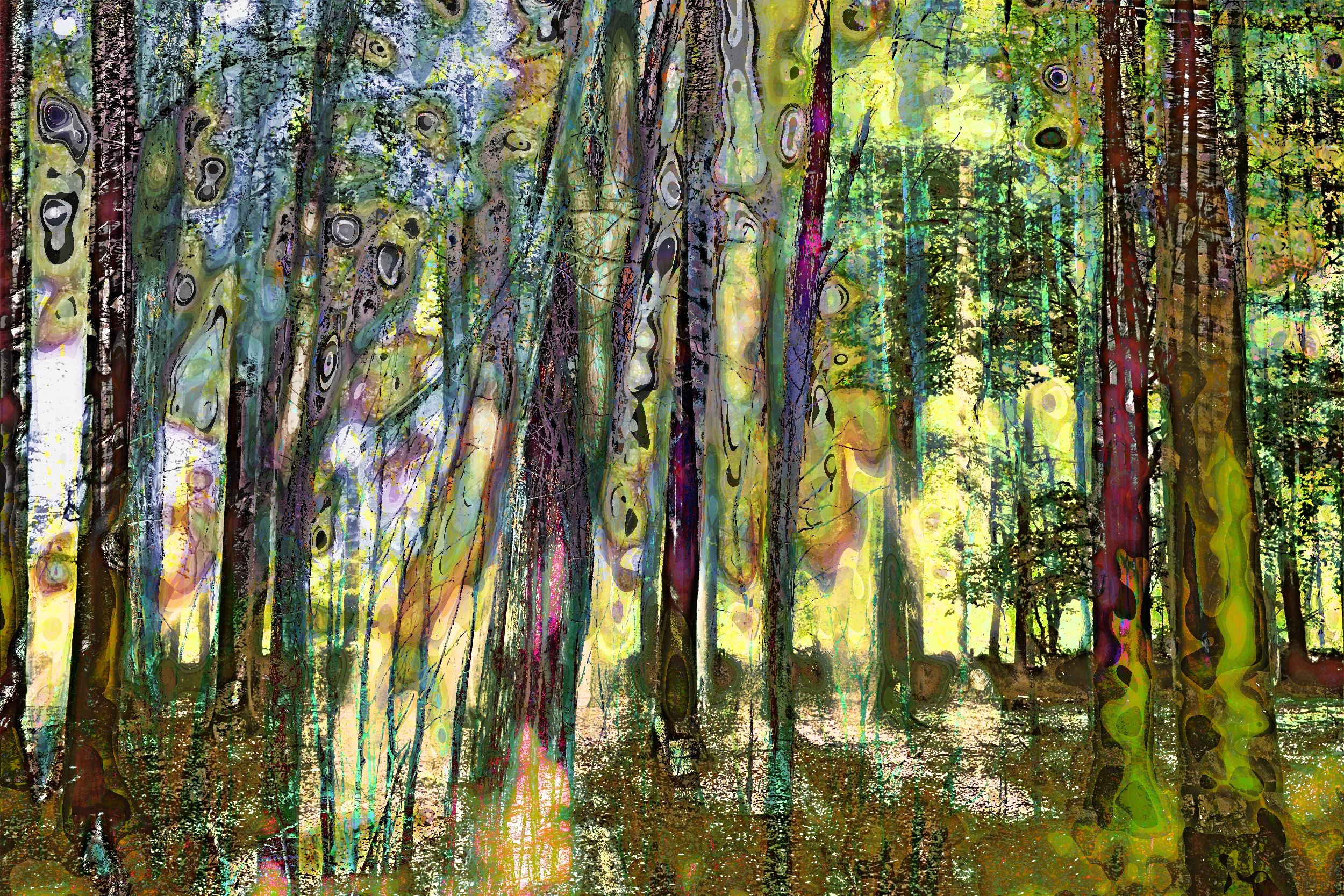 Geert Lemmers, Mysterious forrest opus 17 Geert Lemmers, Mysterious forrest opus 17