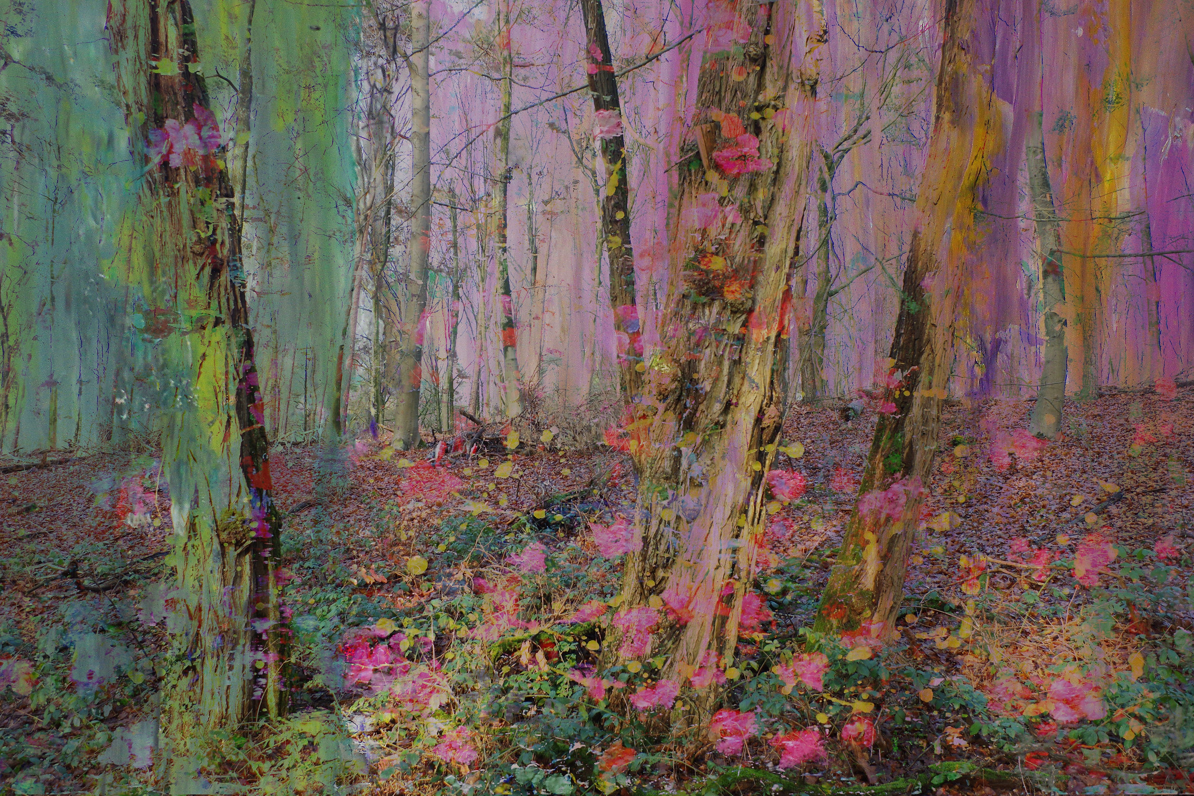 Geert Lemmers, Magical nature opus 90 Geert Lemmers, Magical nature opus 90