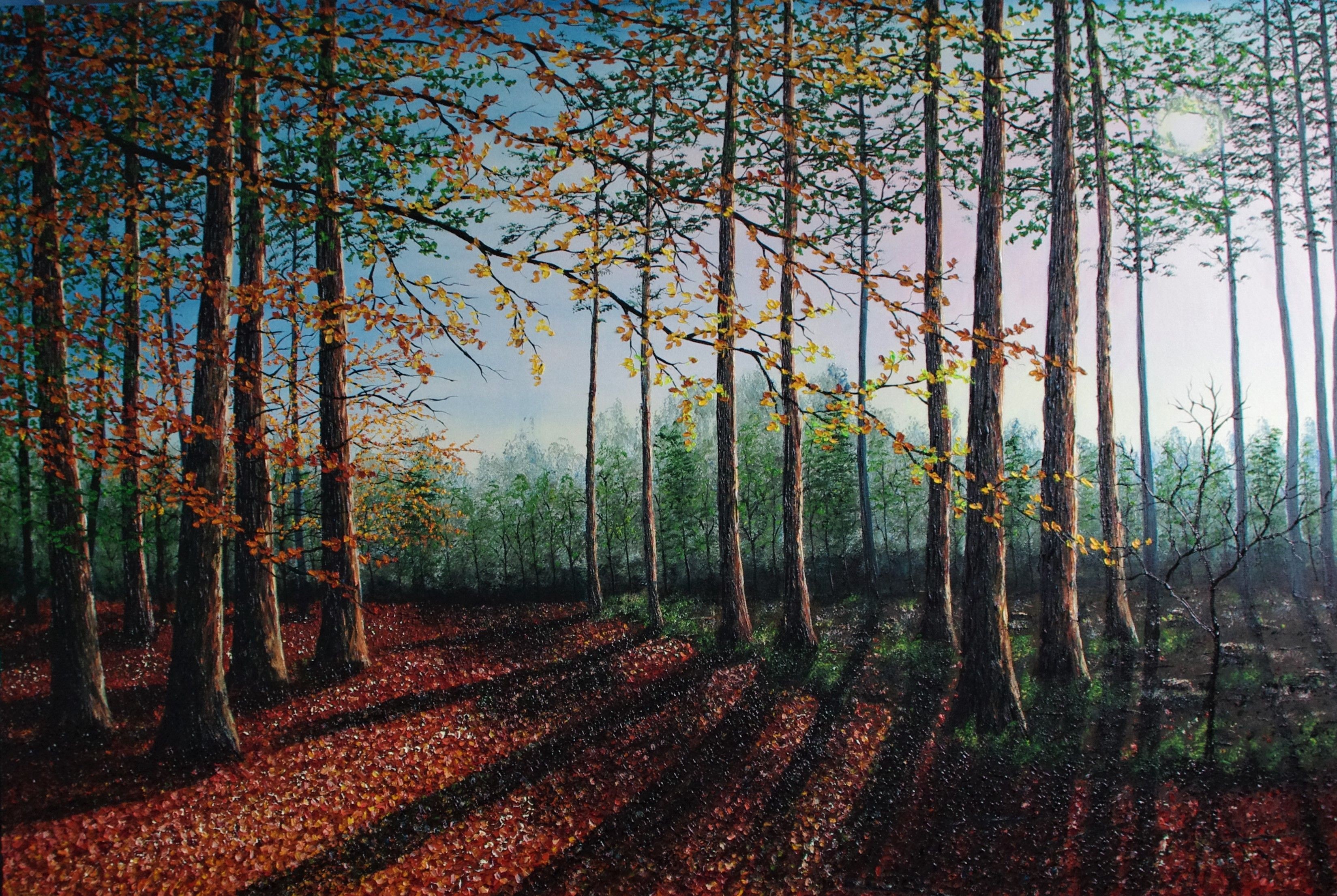Hazel Thomson, Forest clearing Hazel Thomson, Forest clearing