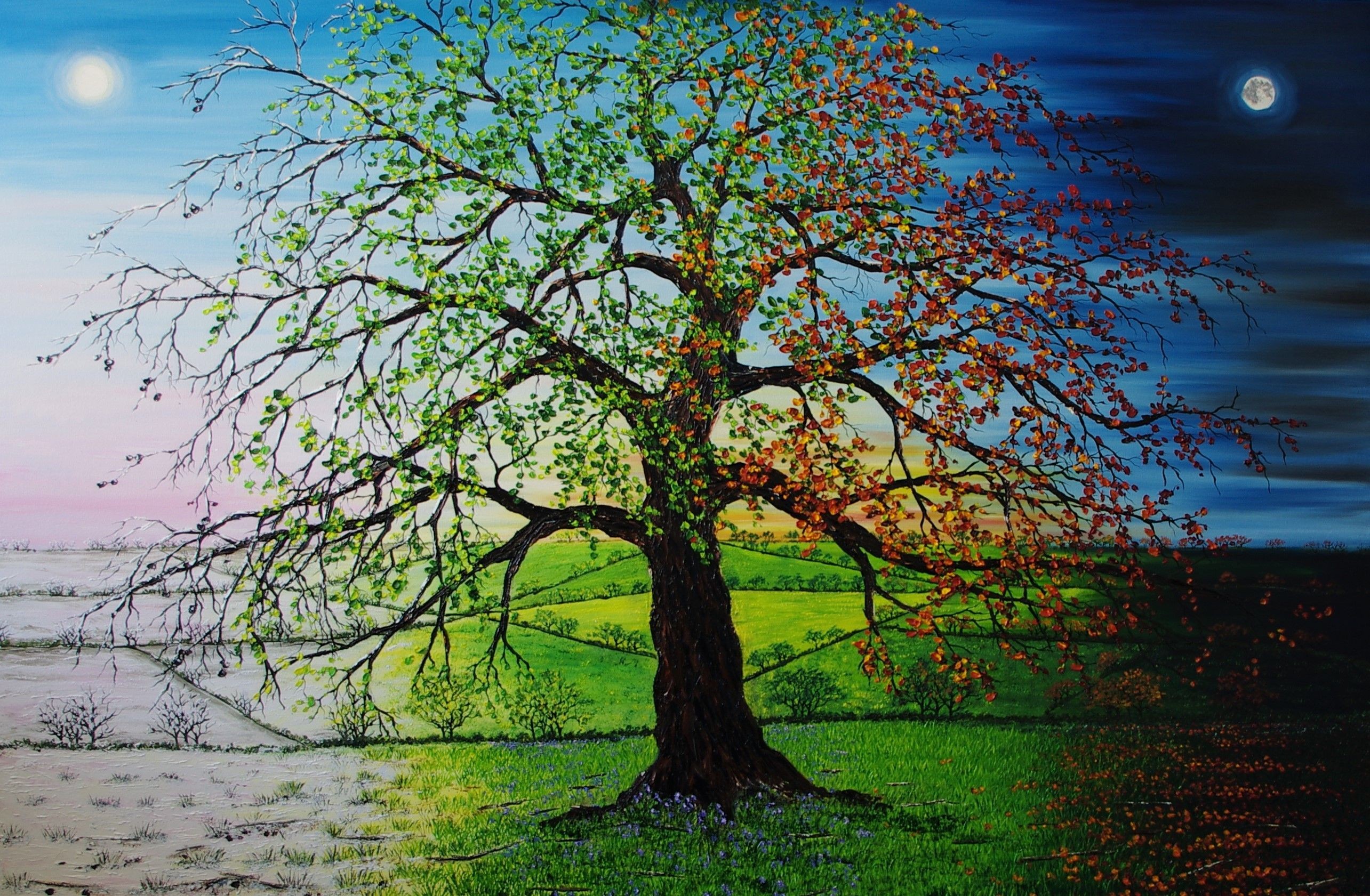 Hazel Thomson, An oak of our time Hazel Thomson, An oak of our time