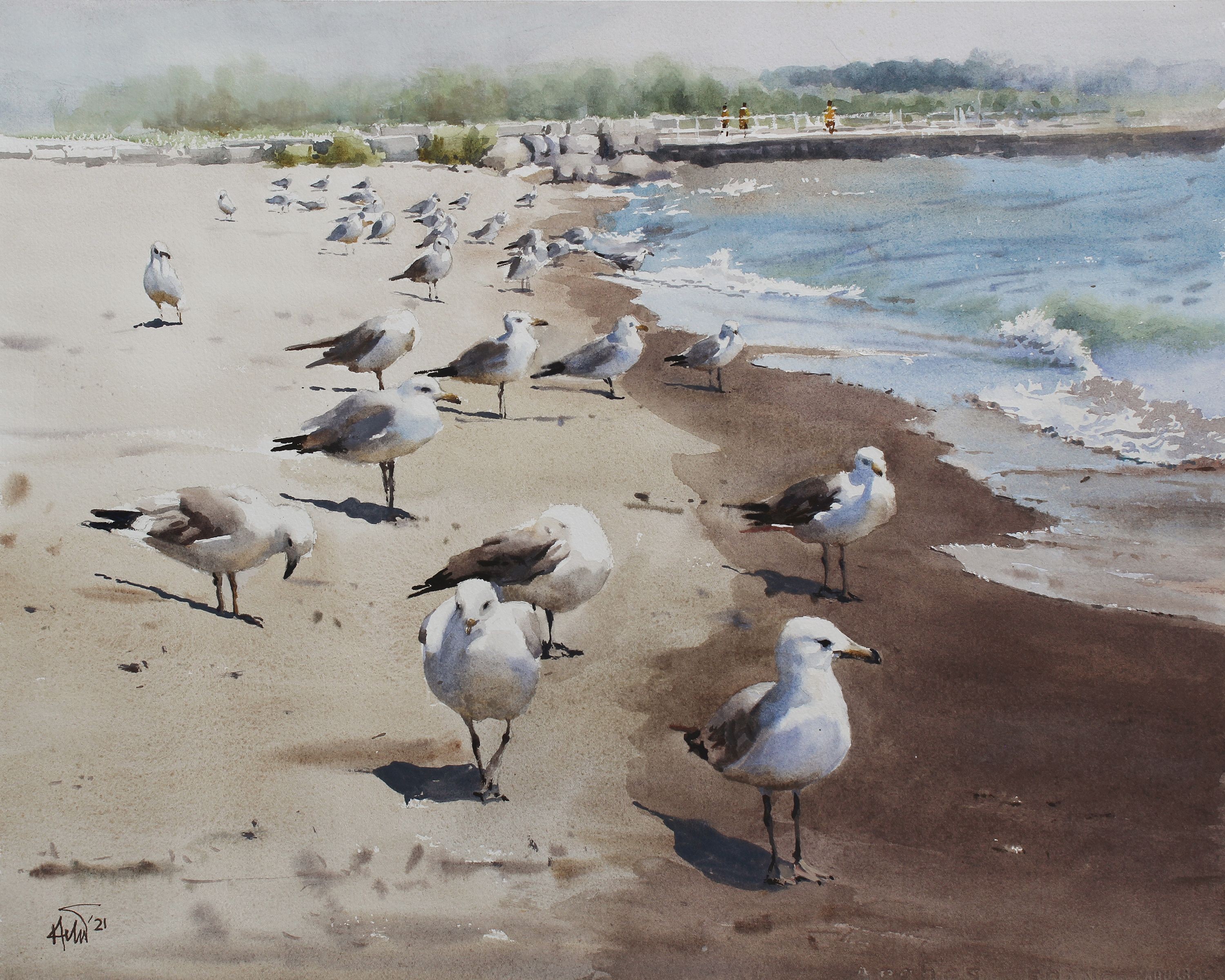Helal Uddin, Seagull_01 Helal Uddin, Seagull_01