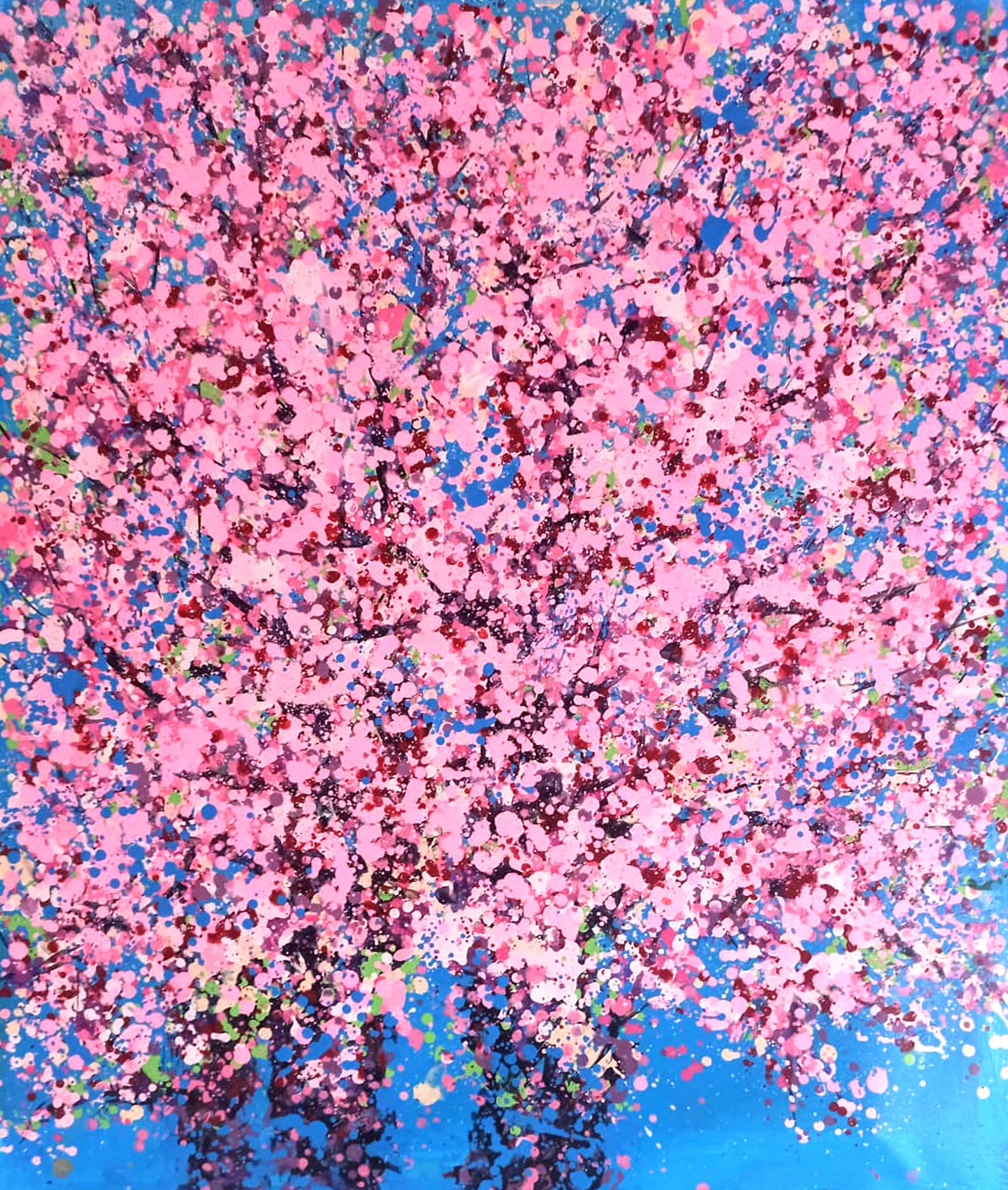 Hoang Phuong, Cherry blooms Hoang Phuong, Cherry blooms