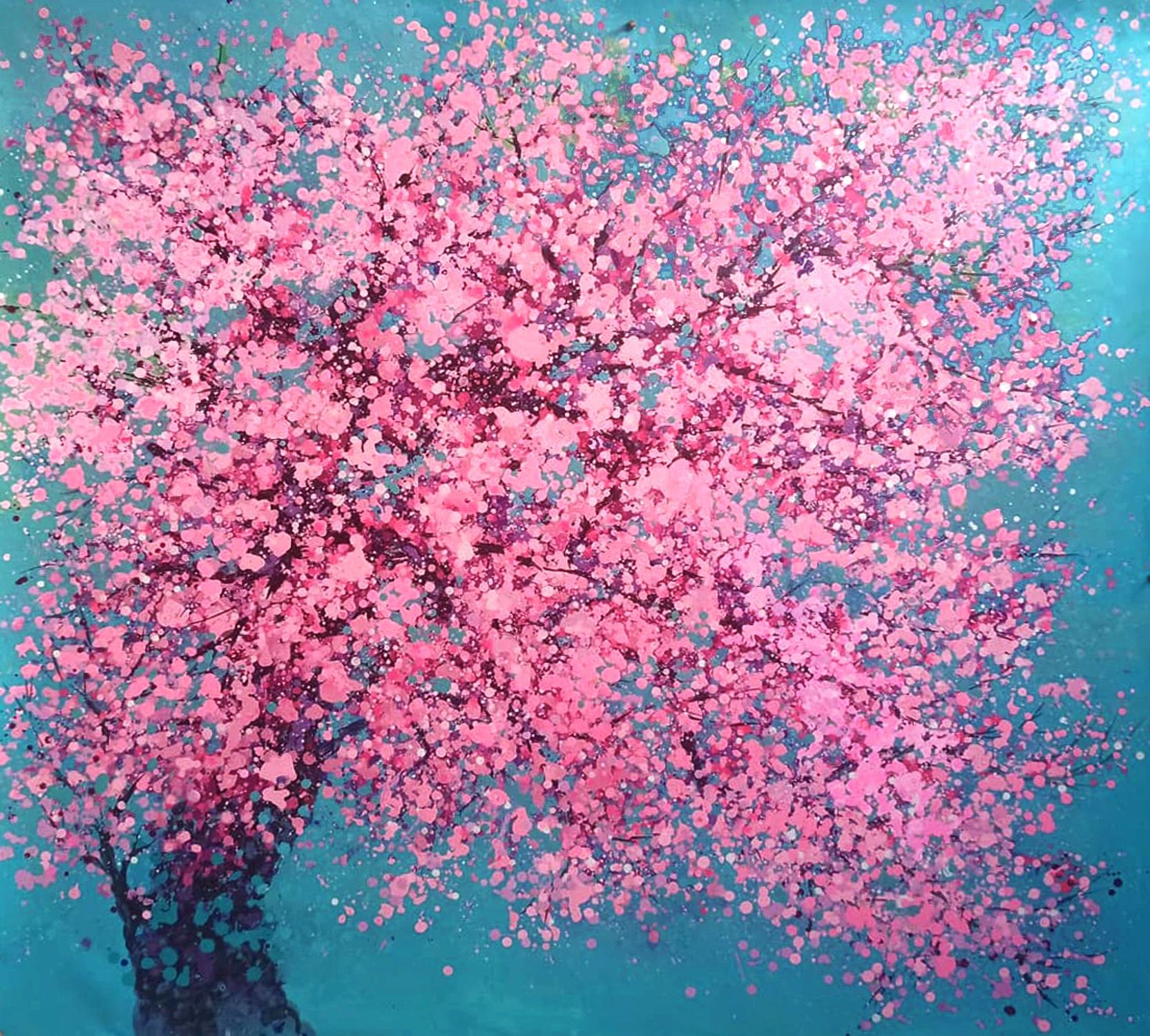 Hoang Phuong, Cherry blooms Hoang Phuong, Cherry blooms