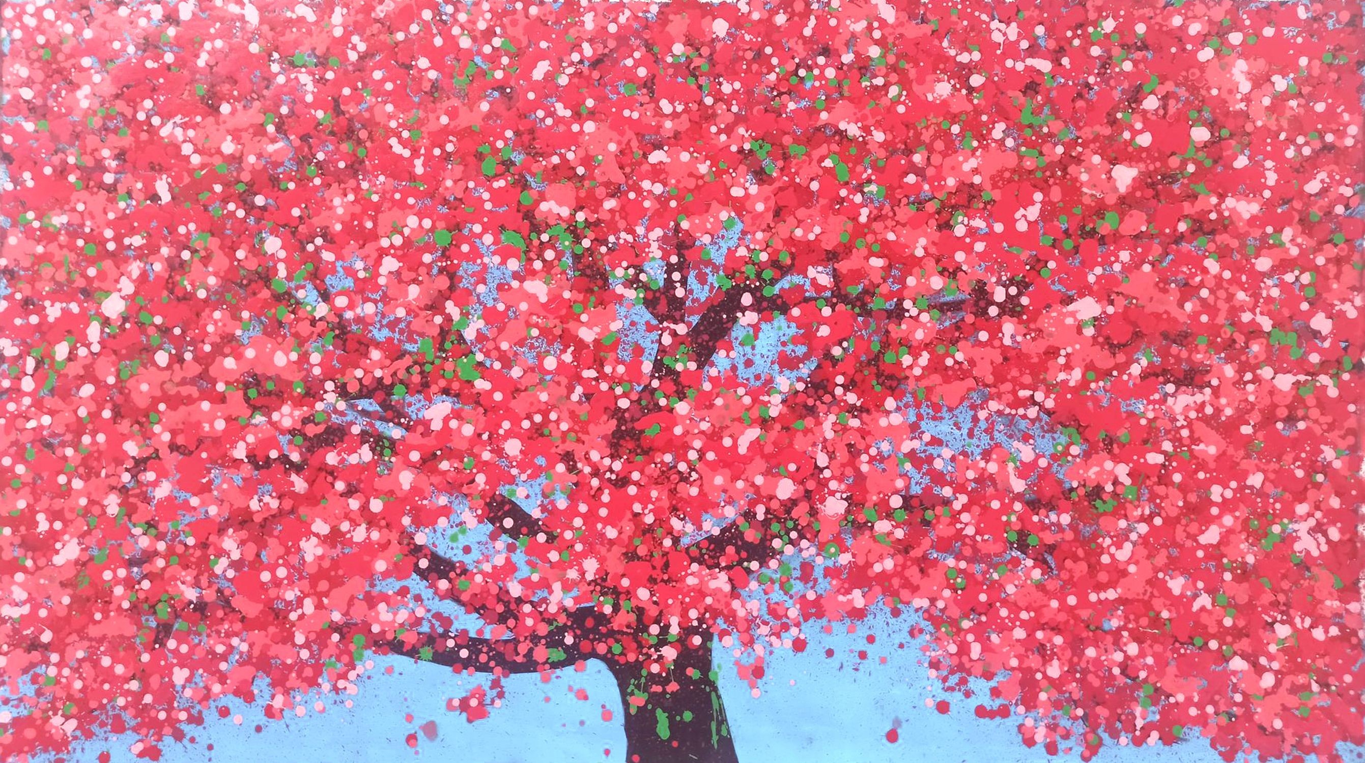 Hoang Phuong, Cherry blooms Hoang Phuong, Cherry blooms