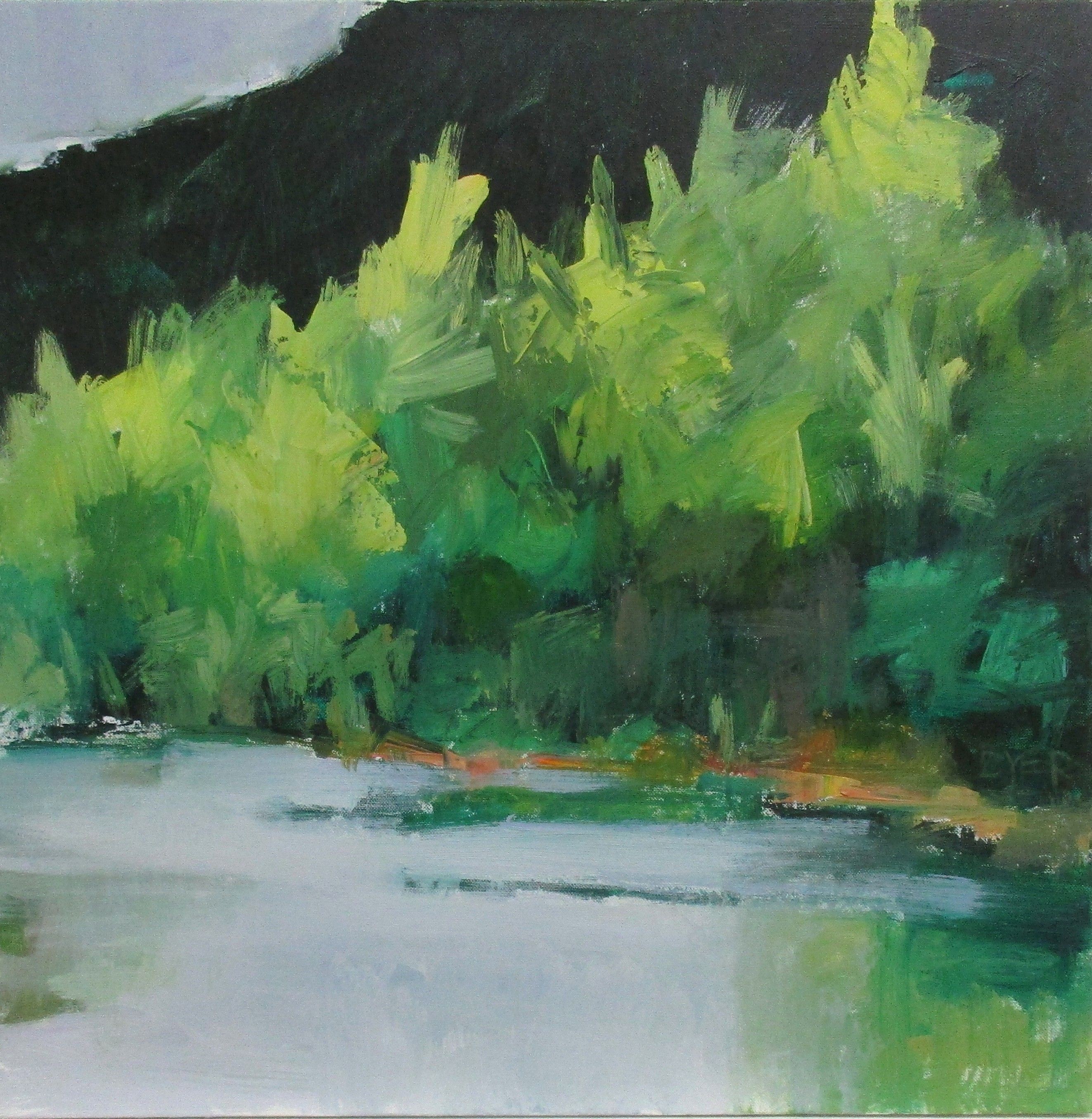 Janet Dyer, Shallows Janet Dyer, Shallows