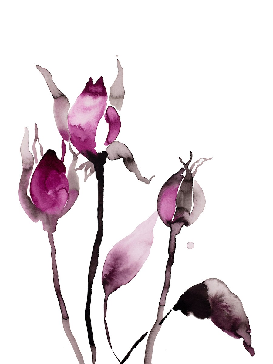 Elizabeth Becker, Rose study no. 63 Elizabeth Becker, Rose study no. 63