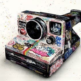 Vintage Polaroid, Onemizer