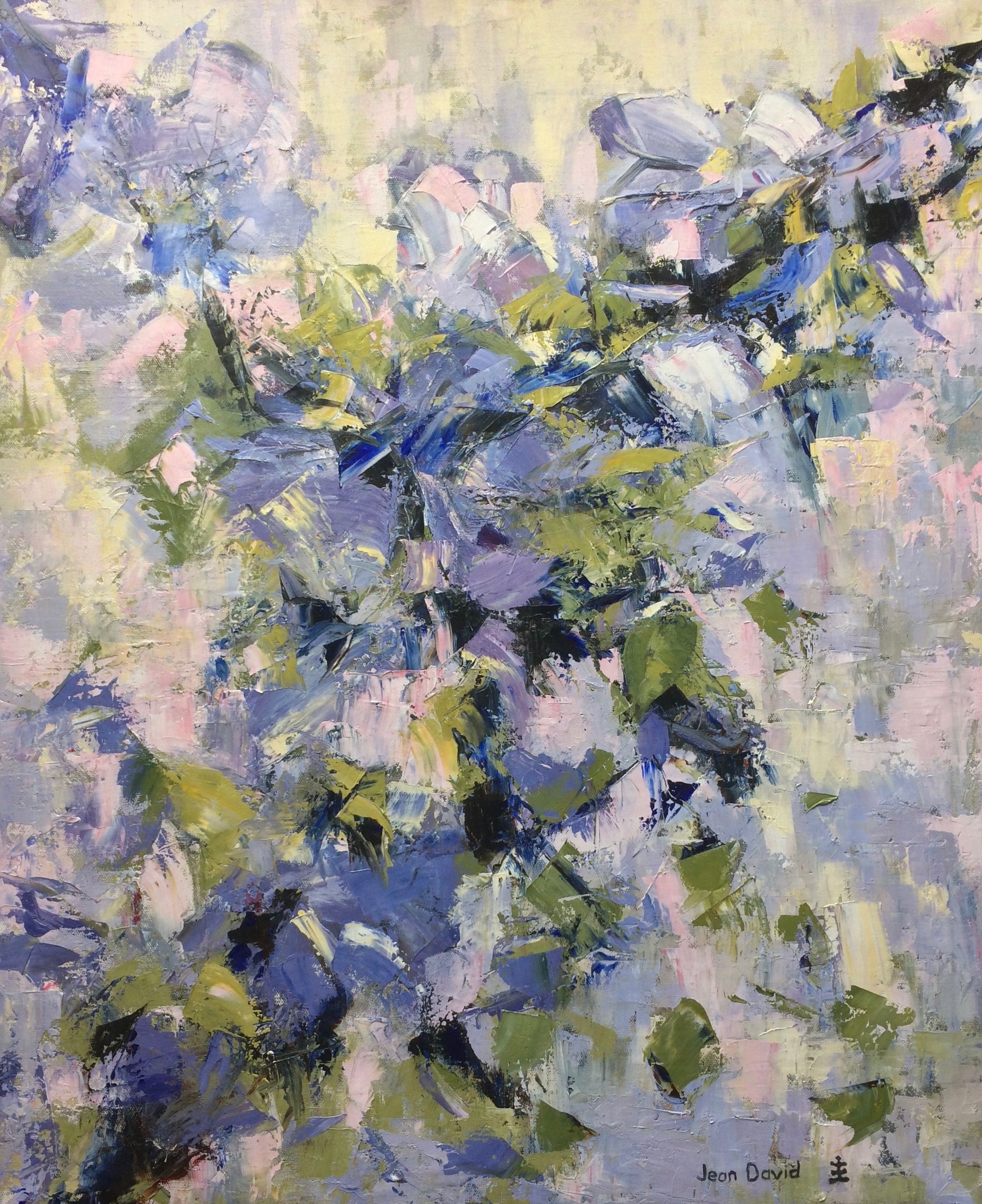 Jean David, Clematis Jean David, Clematis