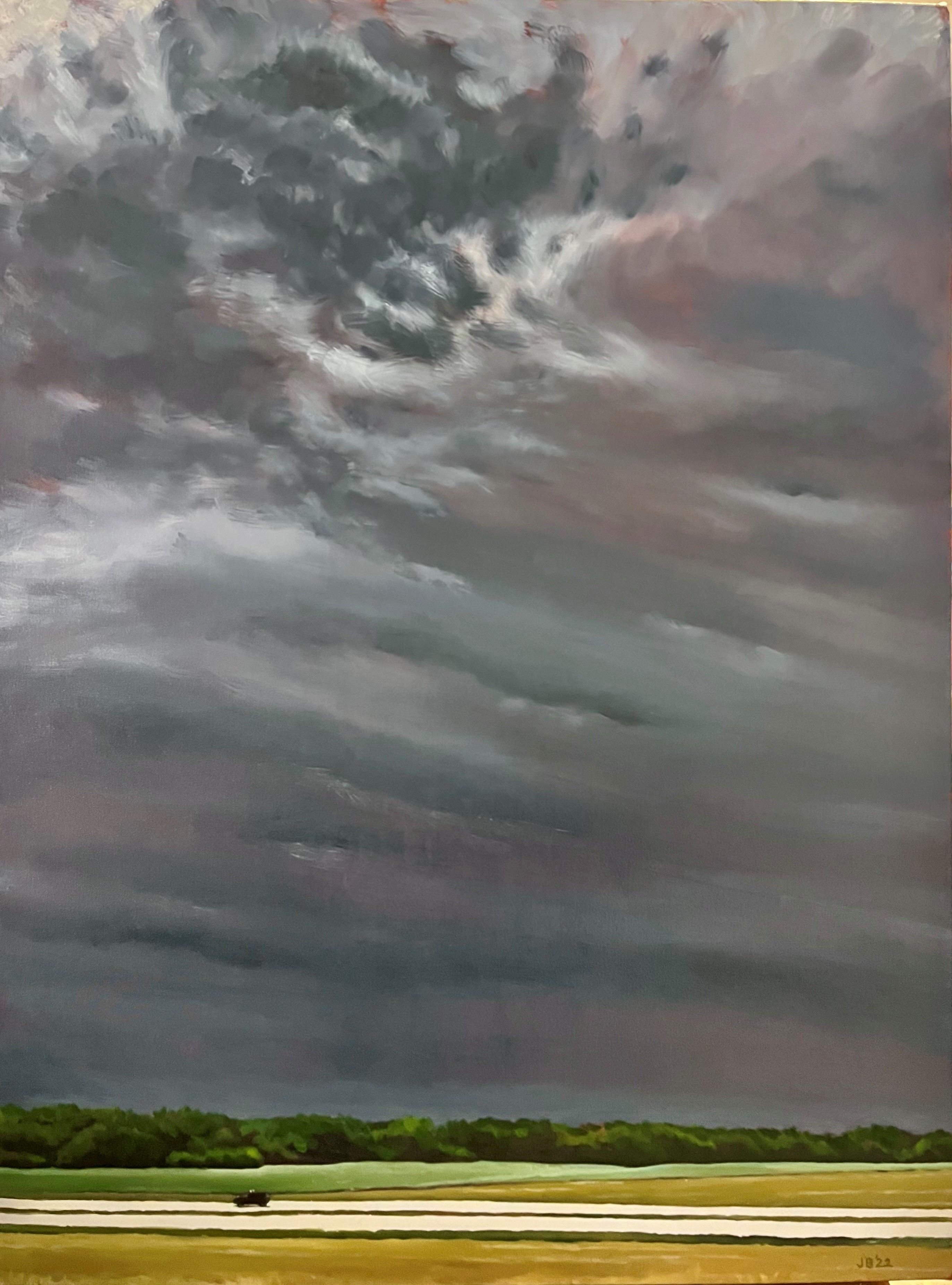 Joan Blumenfeld, Northern Minnesota Summer Storm Joan Blumenfeld, Northern Minnesota Summer Storm