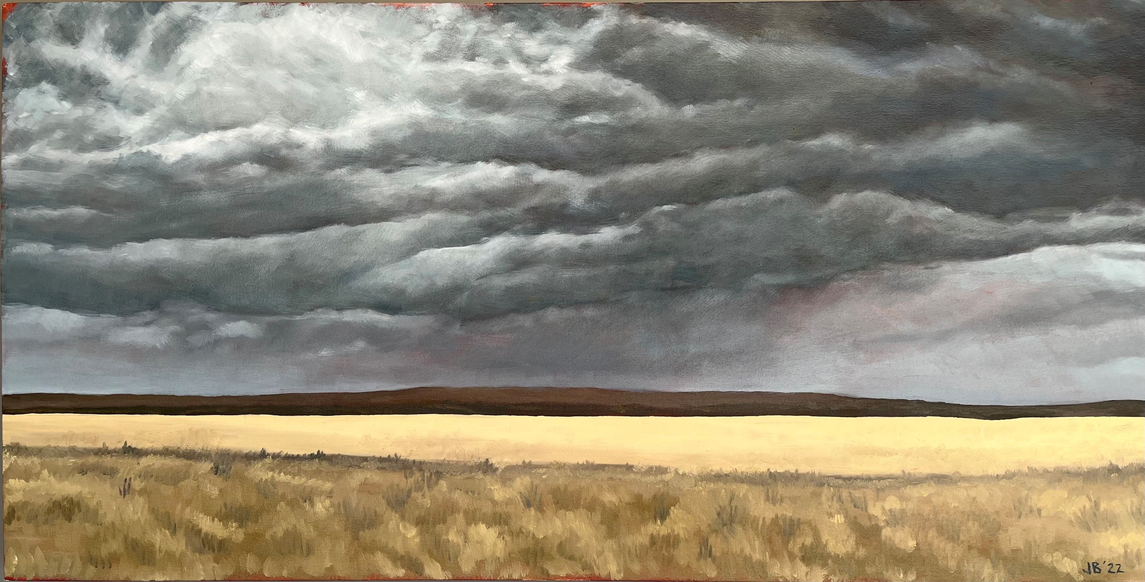 Joan Blumenfeld, Idaho Storm Joan Blumenfeld, Idaho Storm