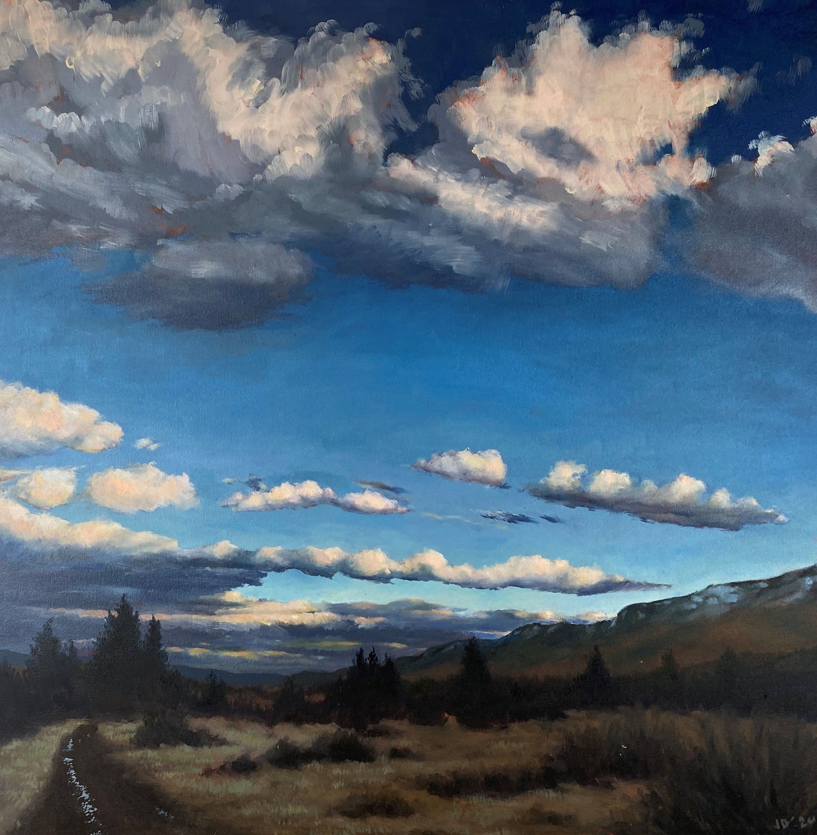 Joan Blumenfeld, Down the Power Line Road Joan Blumenfeld, Down the Power Line Road