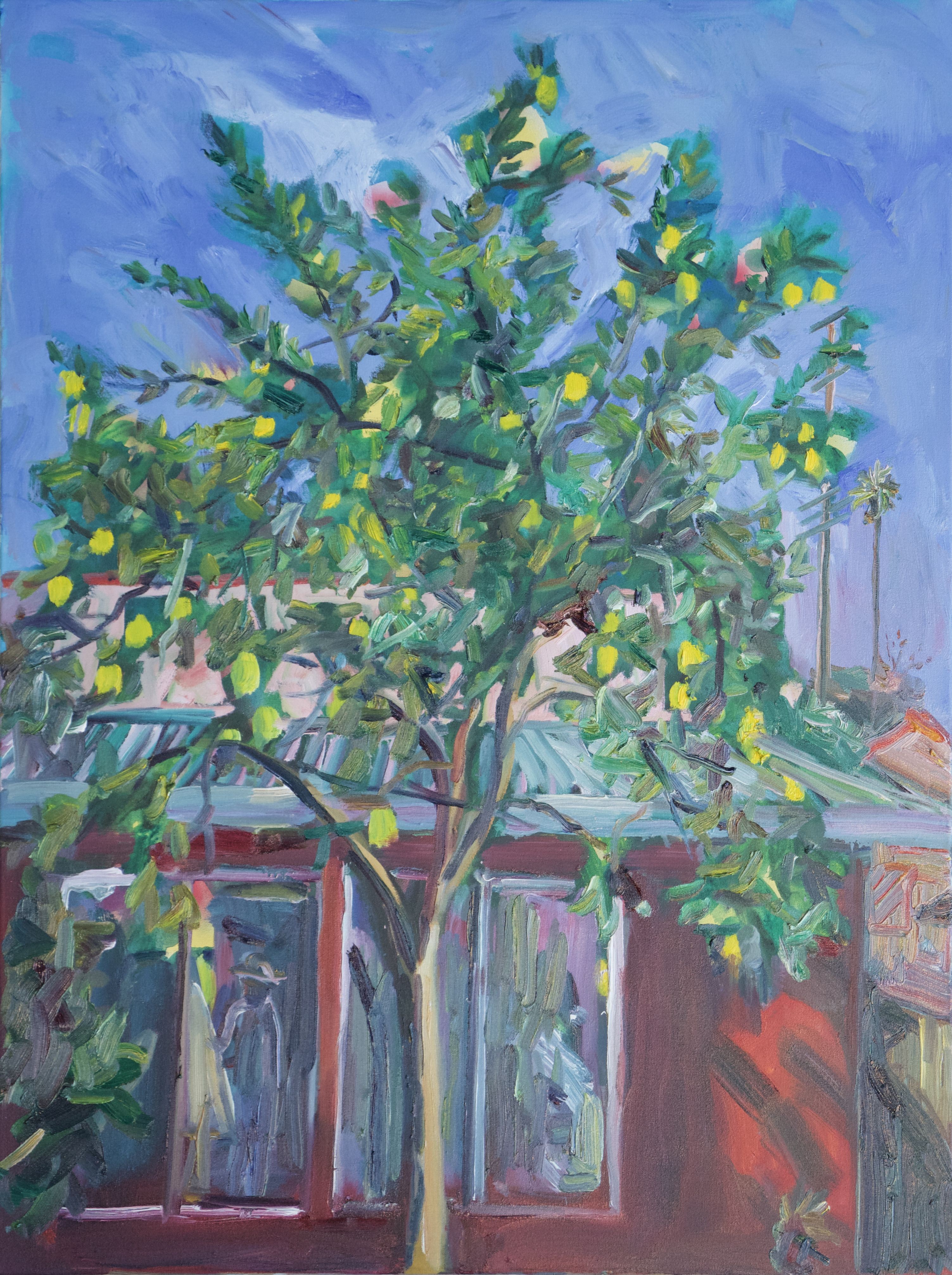 John Kilduff, Lemon tree in the backyard John Kilduff, Lemon tree in the backyard