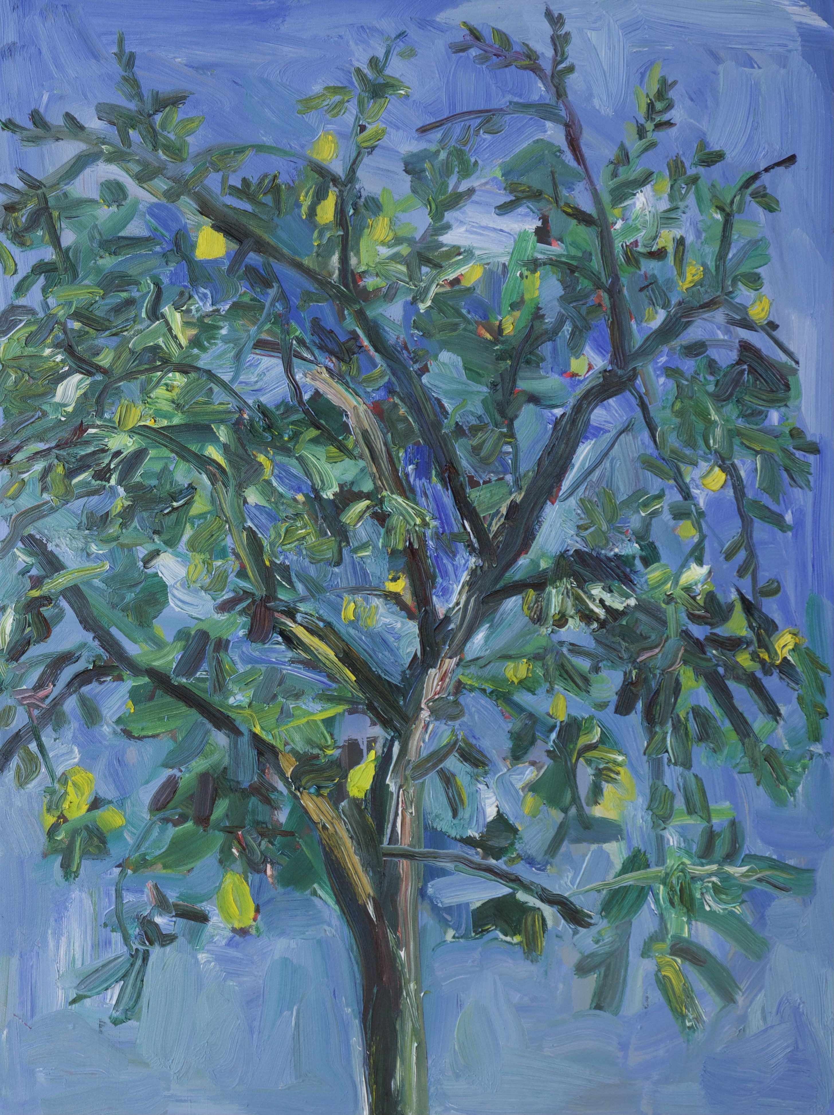 John Kilduff, Lemon Tree in quarentine John Kilduff, Lemon Tree in quarentine
