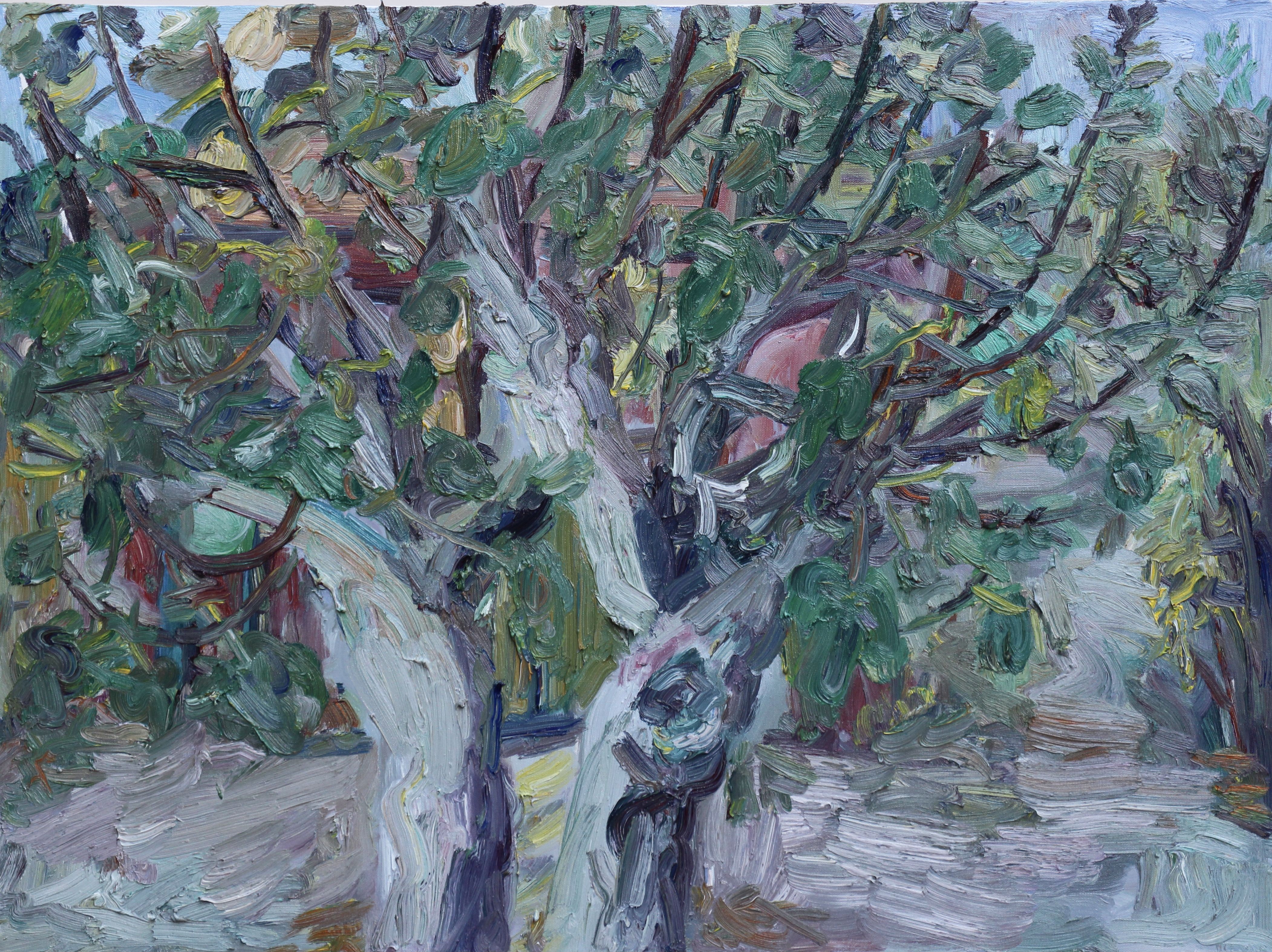 John Kilduff, Fig Tree in Quarantine John Kilduff, Fig Tree in Quarantine