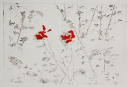 Rouge cardinal 1, Laure Julien
