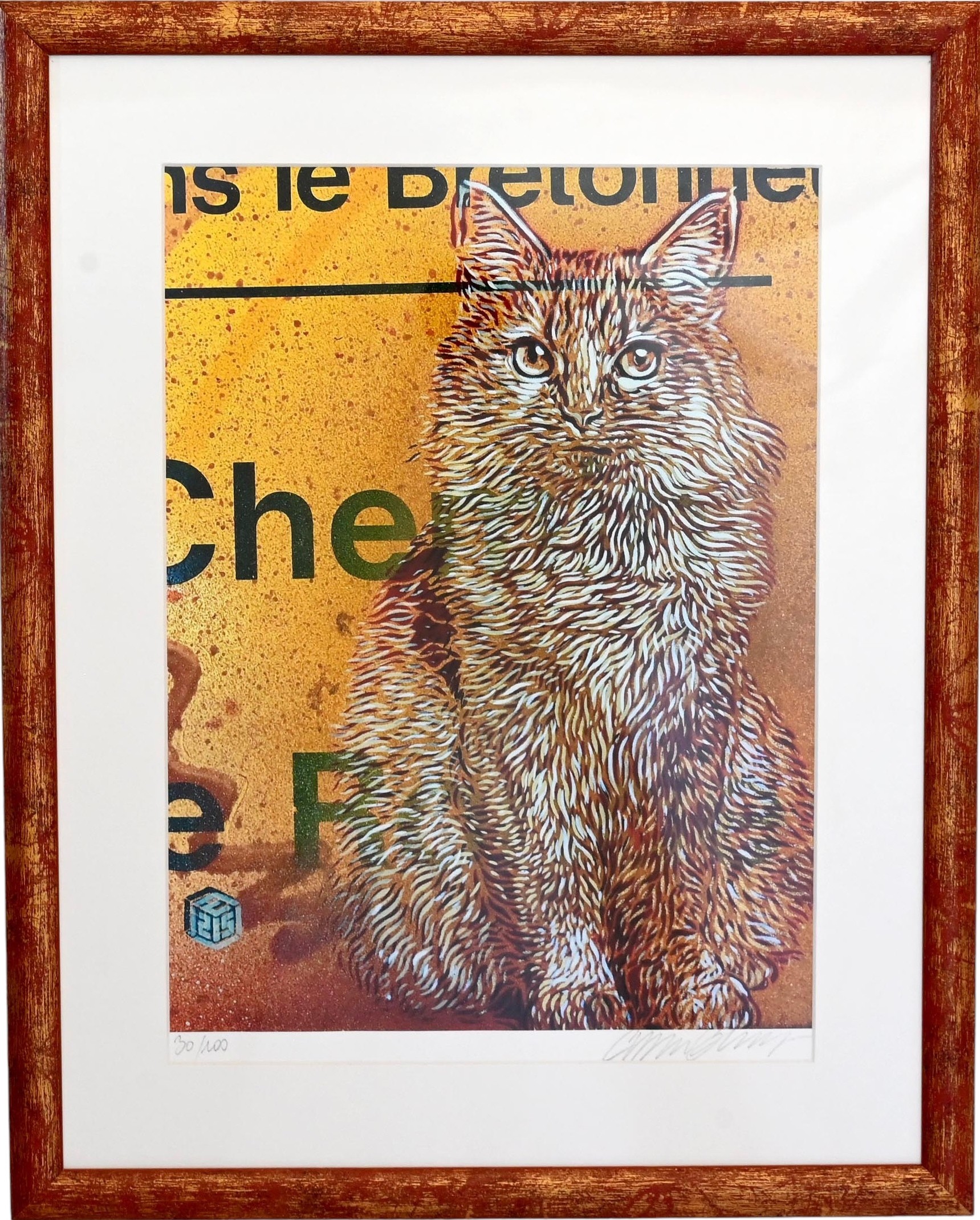 C215, Chat C215, Chat