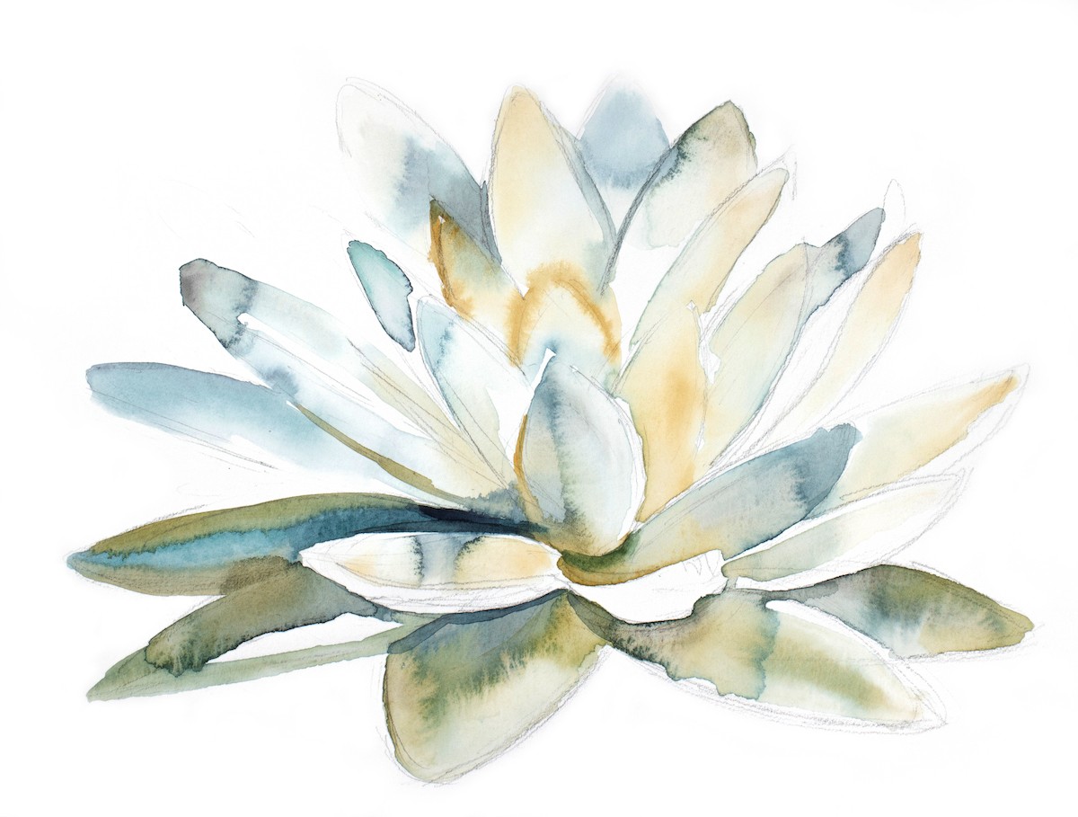 Elizabeth Becker, Lotus No. 3 Elizabeth Becker, Lotus No. 3